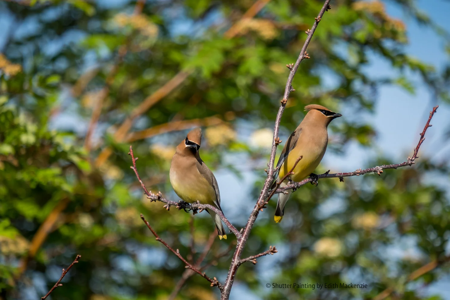 DSCF4959-2.jpg