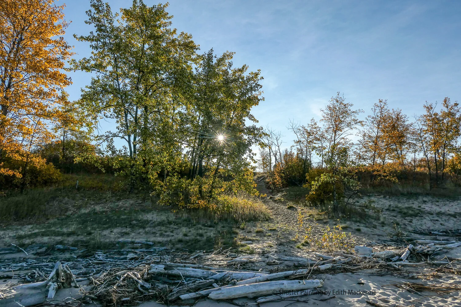 P1025547.jpg