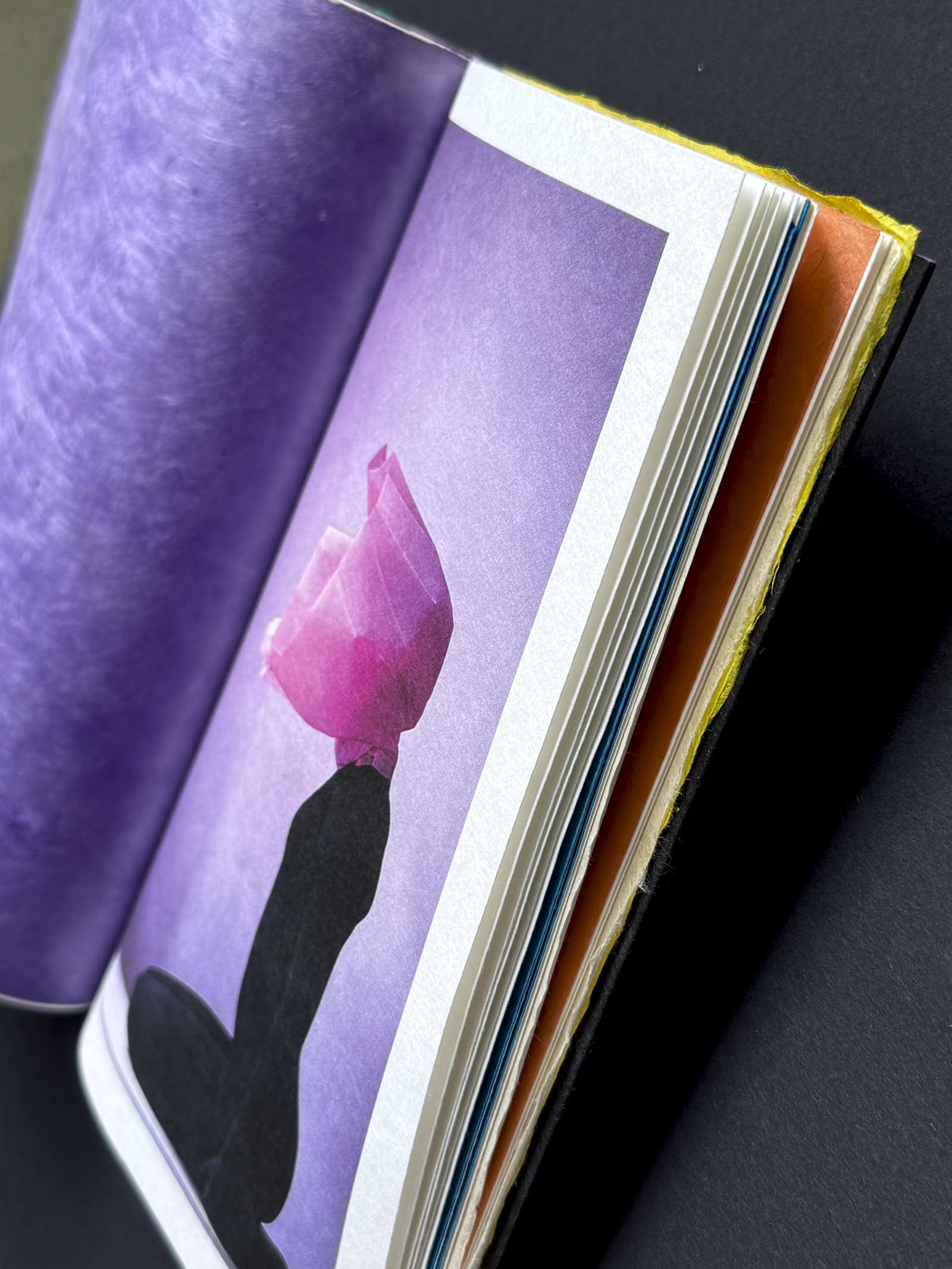 IMG_1220Paper Shelter Art Book 14.PNG