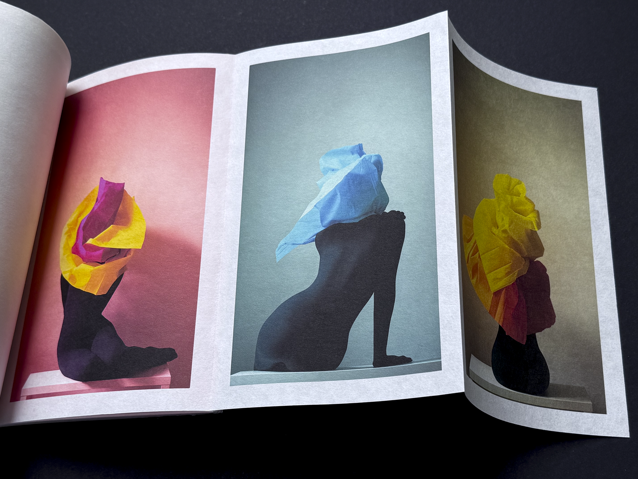 IMG_1210Paper Shelter Art Book 11.PNG