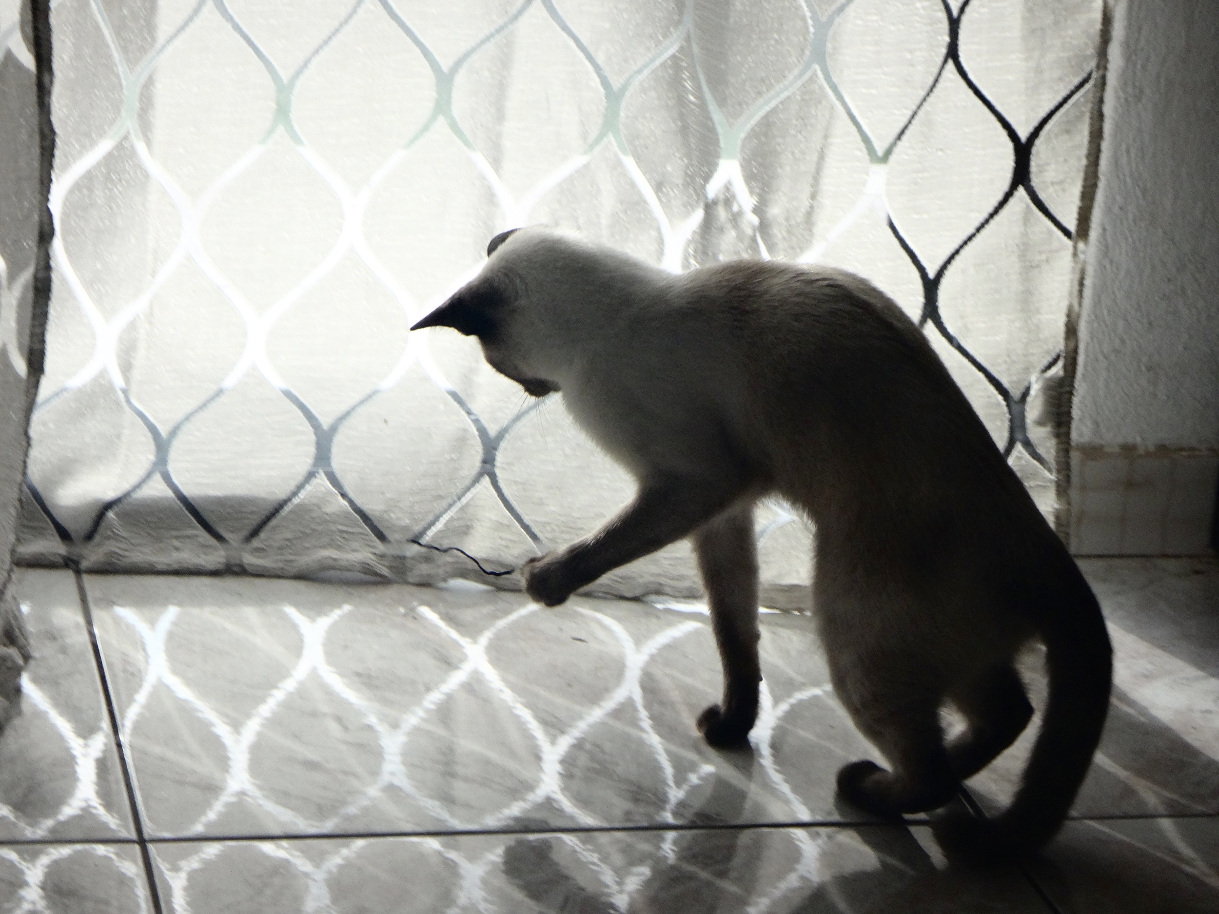copyright by IOANA ANAGNOS