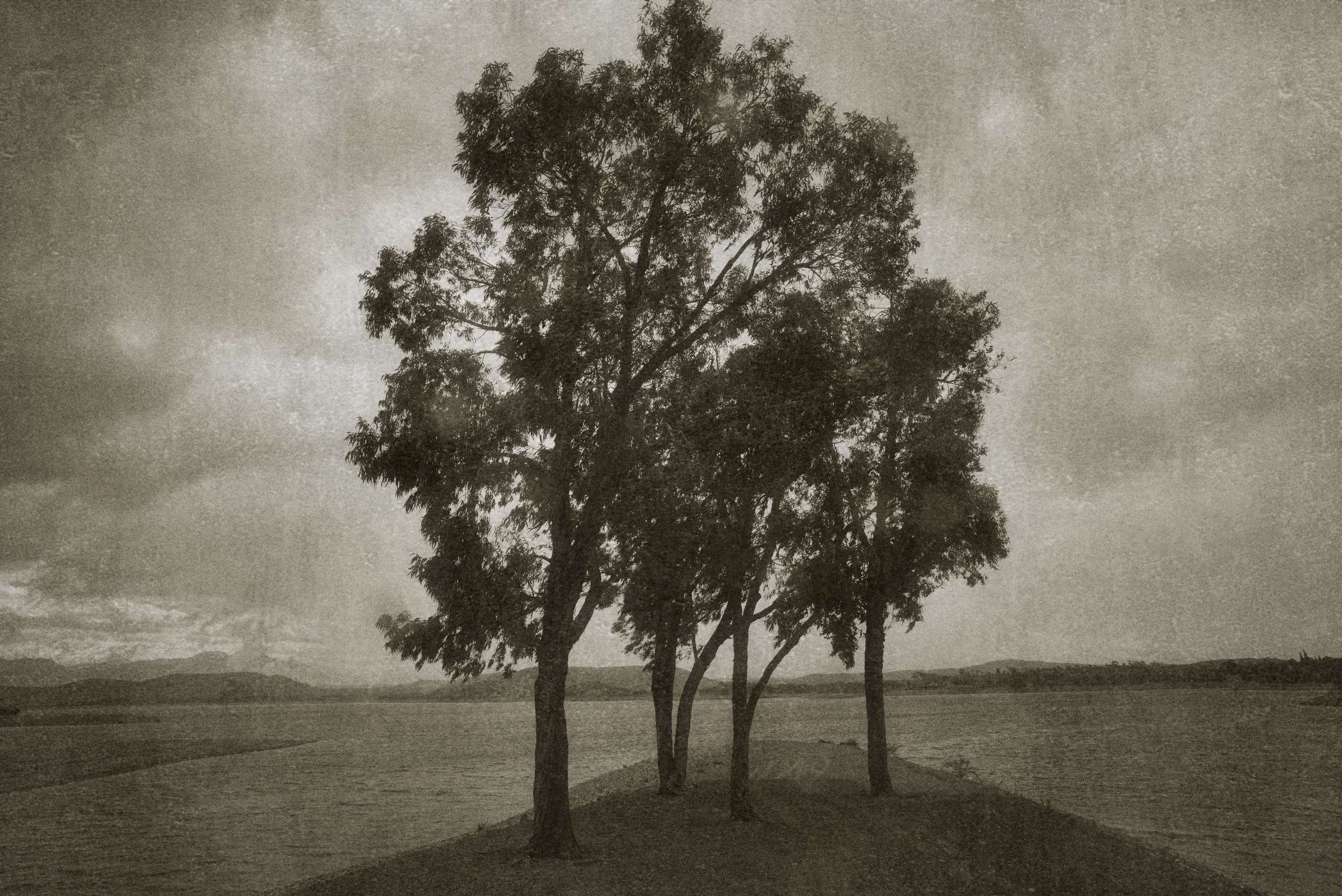 L1004249.jpg