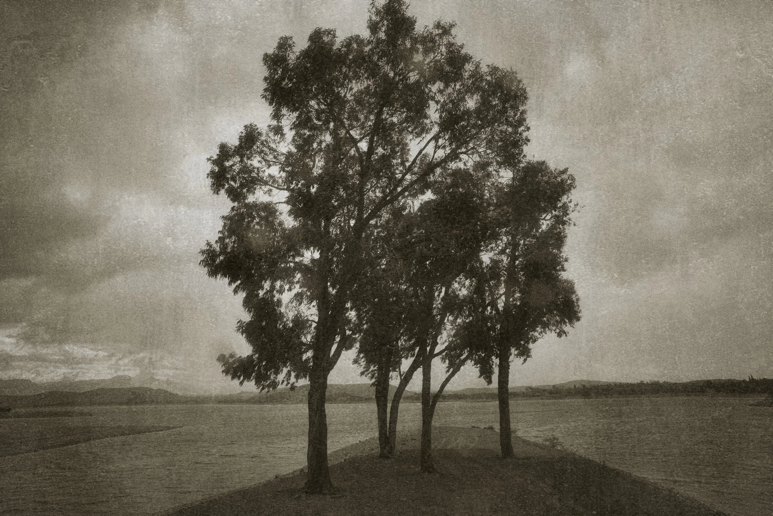 L1004249.jpg