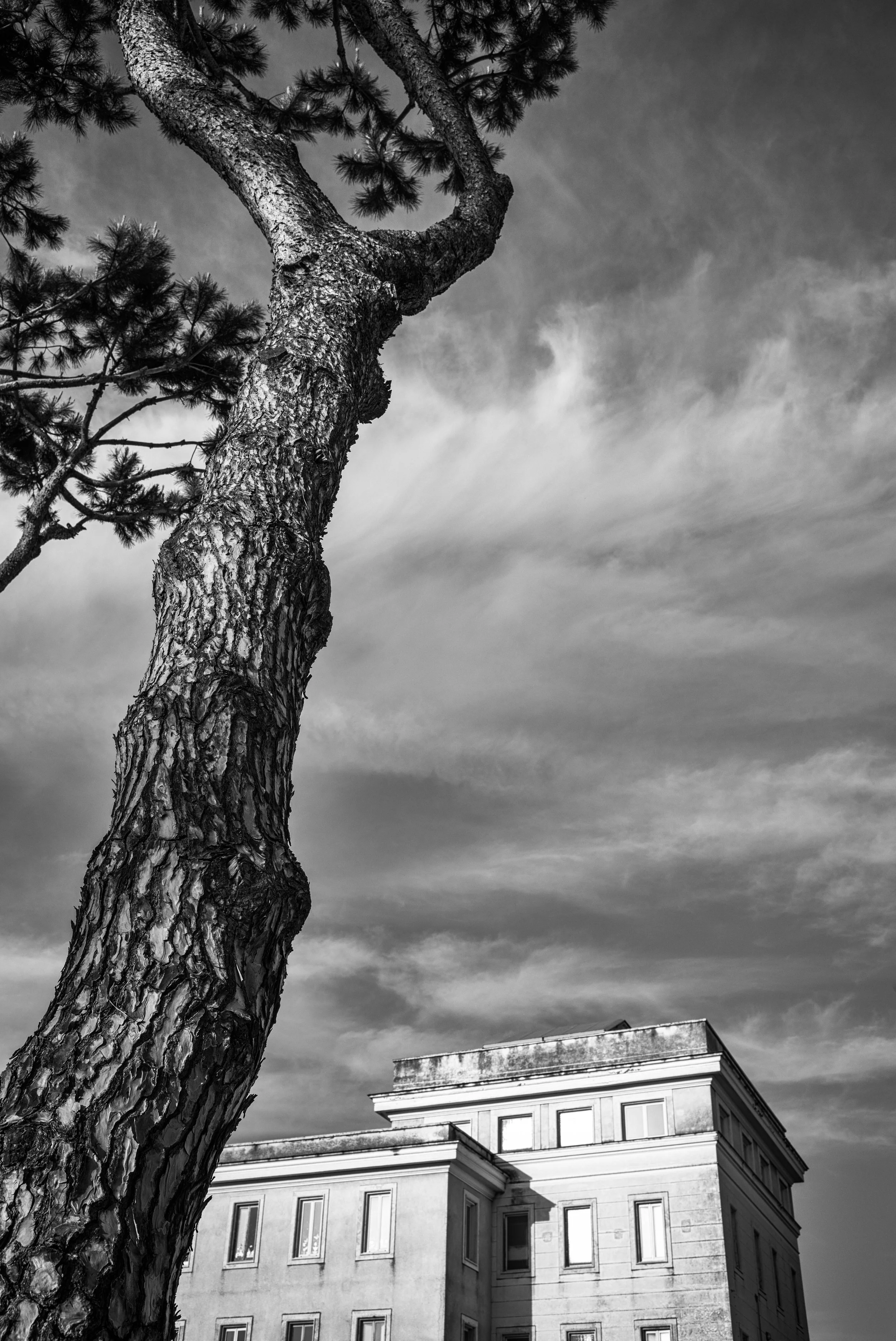 Serie Pompeï. Nadja Gusenbauer