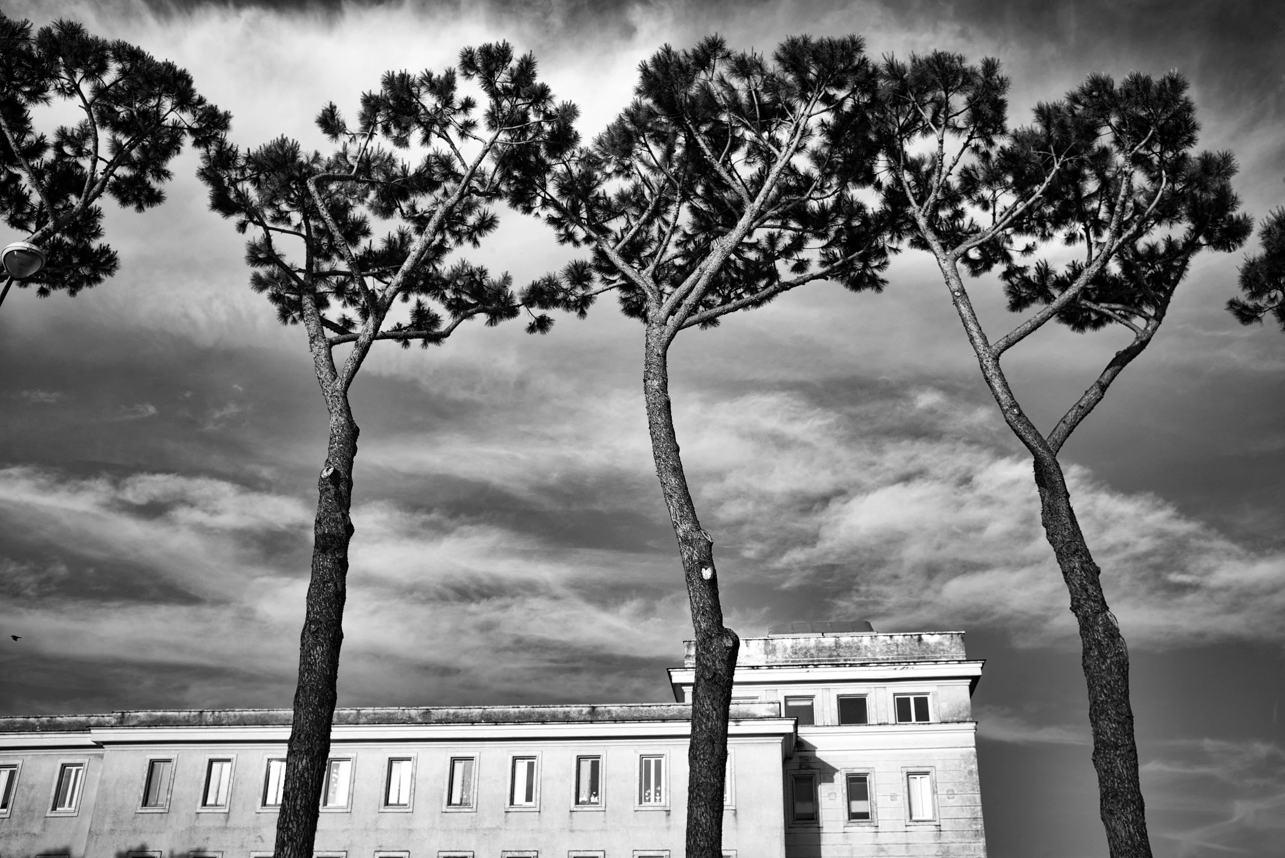 Pompeï. Nadja Gusenbauer