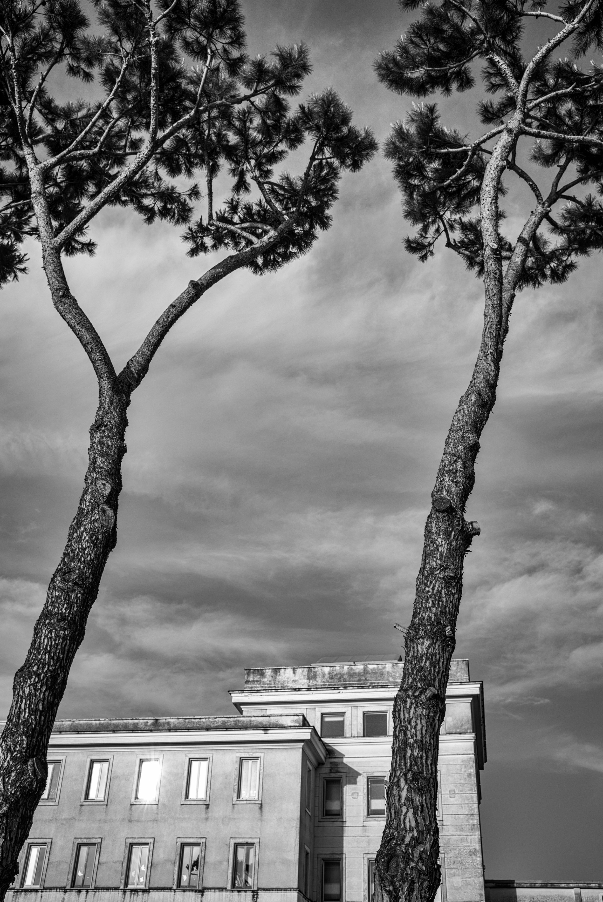 Pompeï. Nadja Gusenbauer