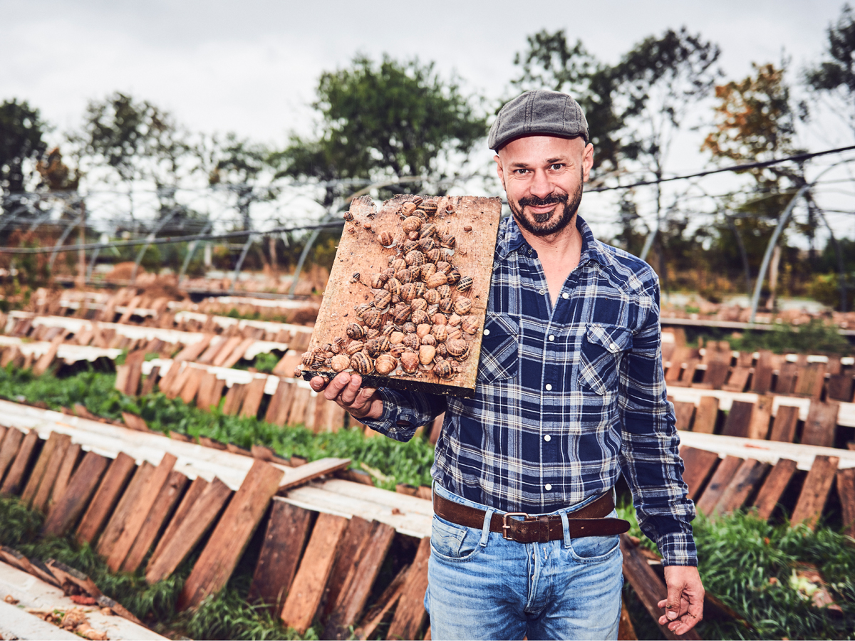 Wiener Schnecken - Foto: Felix Mayr