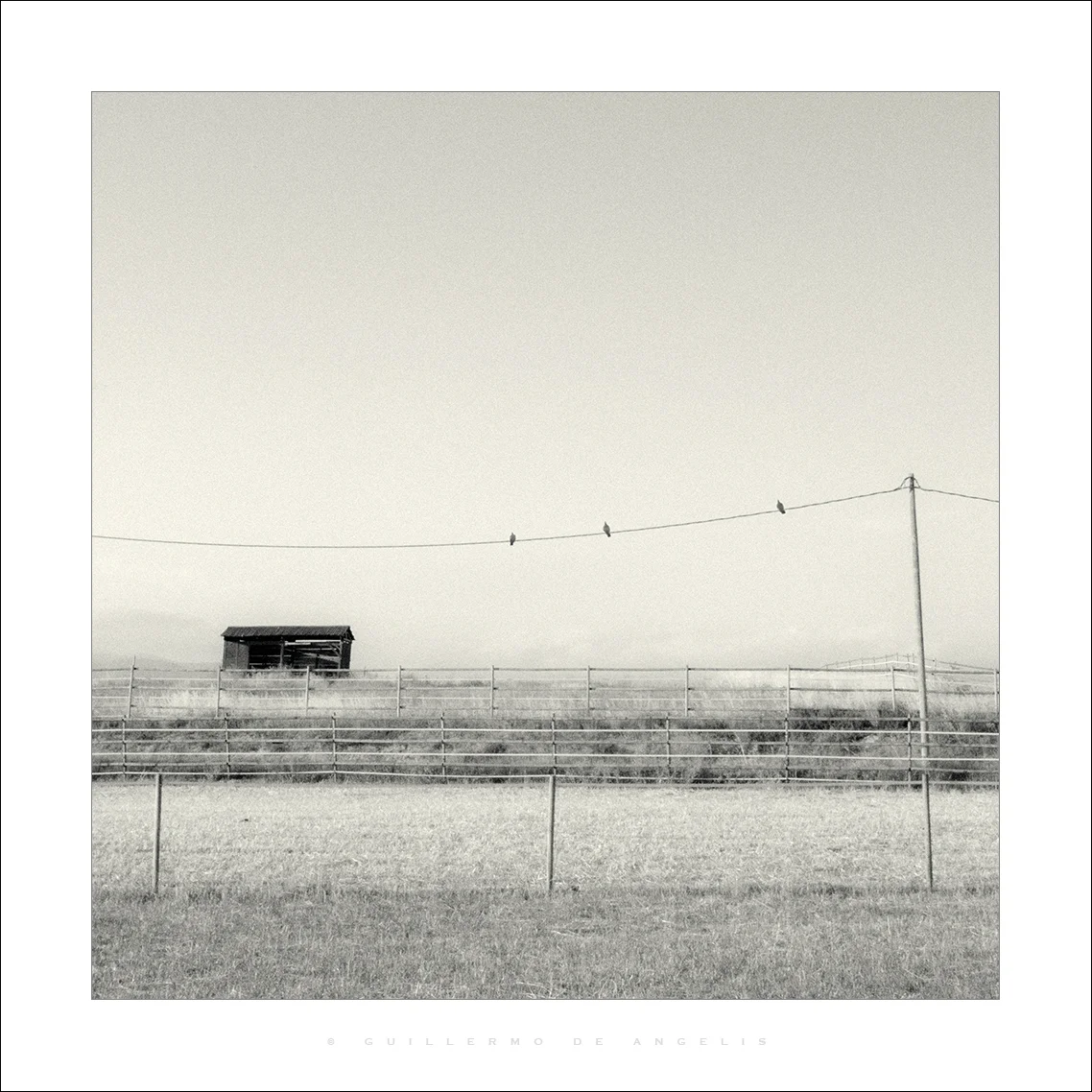 Copyright by Guillermo de Angelis 