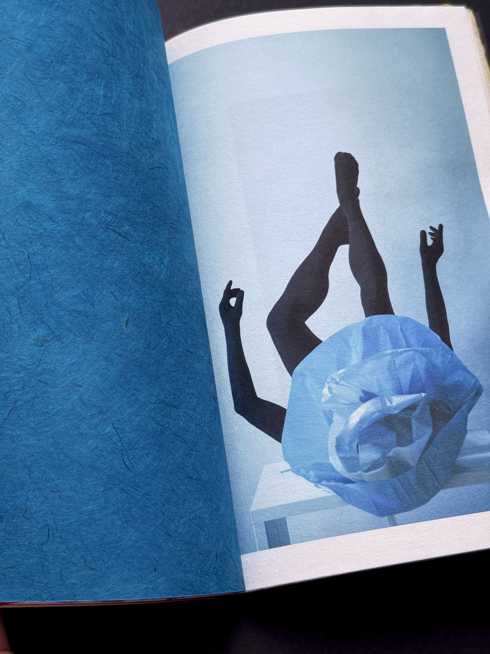 IMG_1206Paper Shelter Art Book 10.PNG