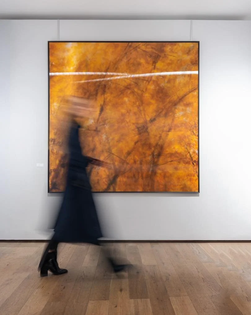 Gestern fand die Eröffnung der Ausstellung des international erfolgreichen österreichischen Fotokünstlers Roland Froschauer in der Galerie LIK in Wien statt.