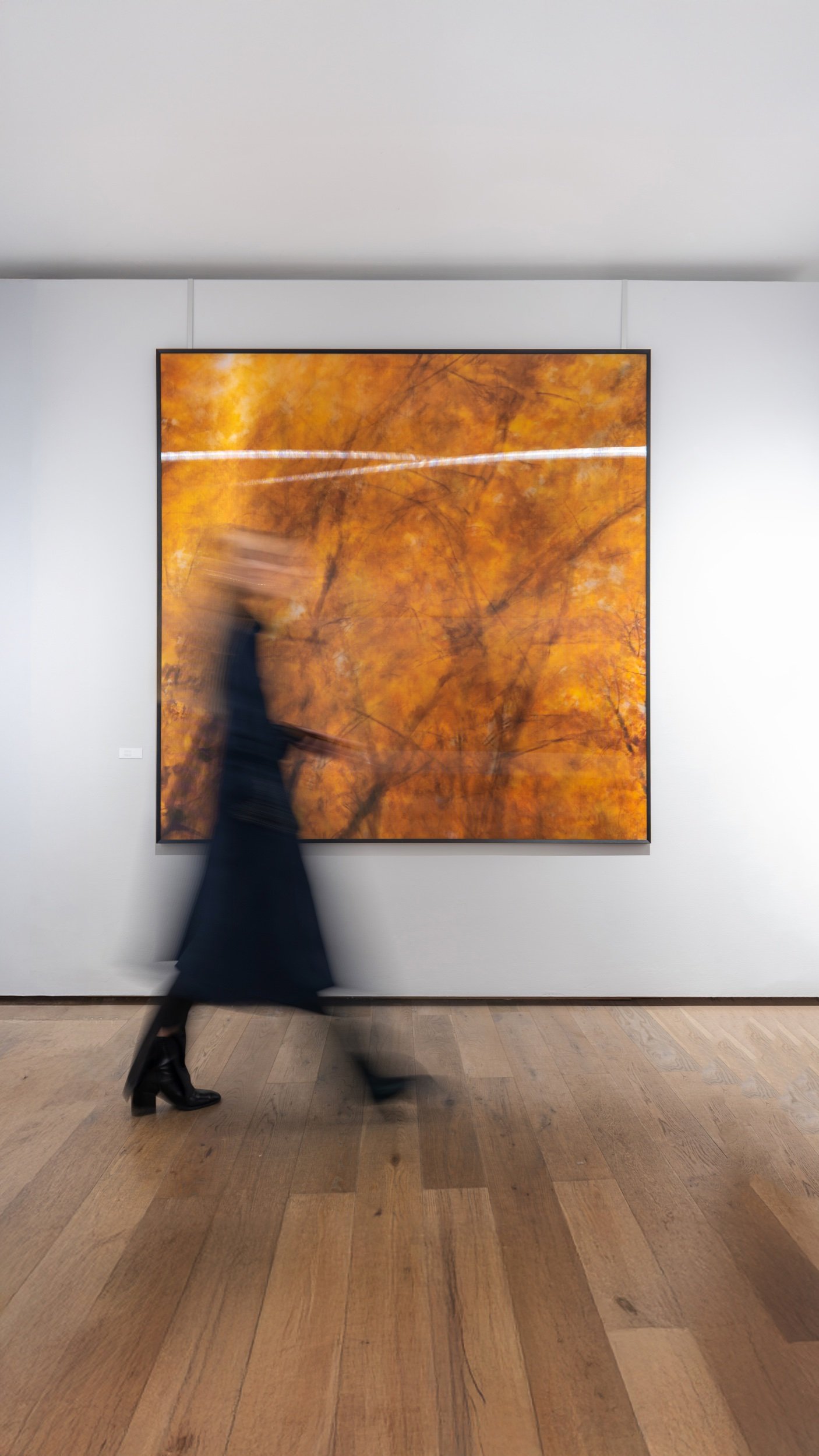 Roland Froschauer in der Galerie LIK