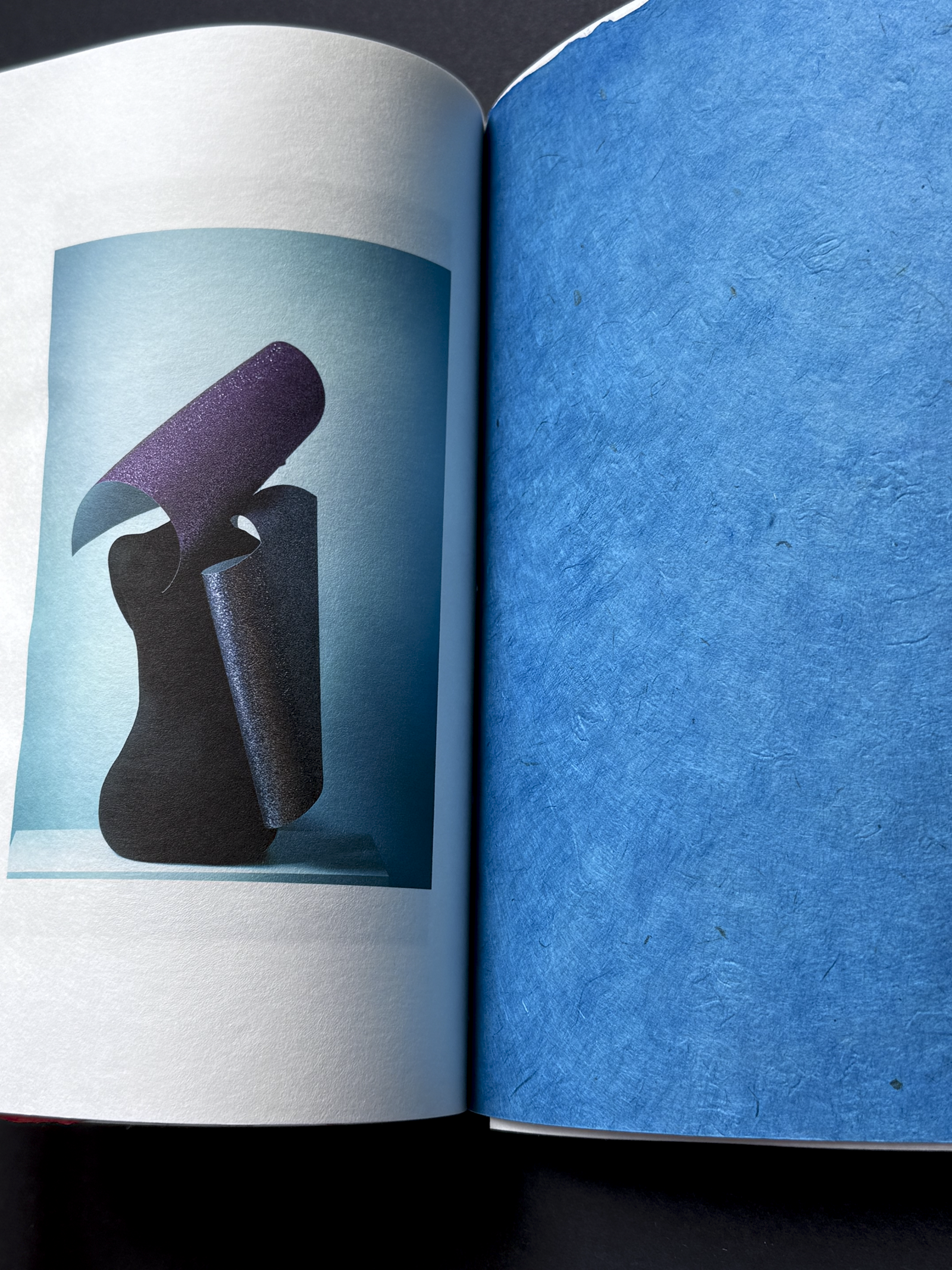 IMG_1211Paper Shelter Art Book 12.PNG