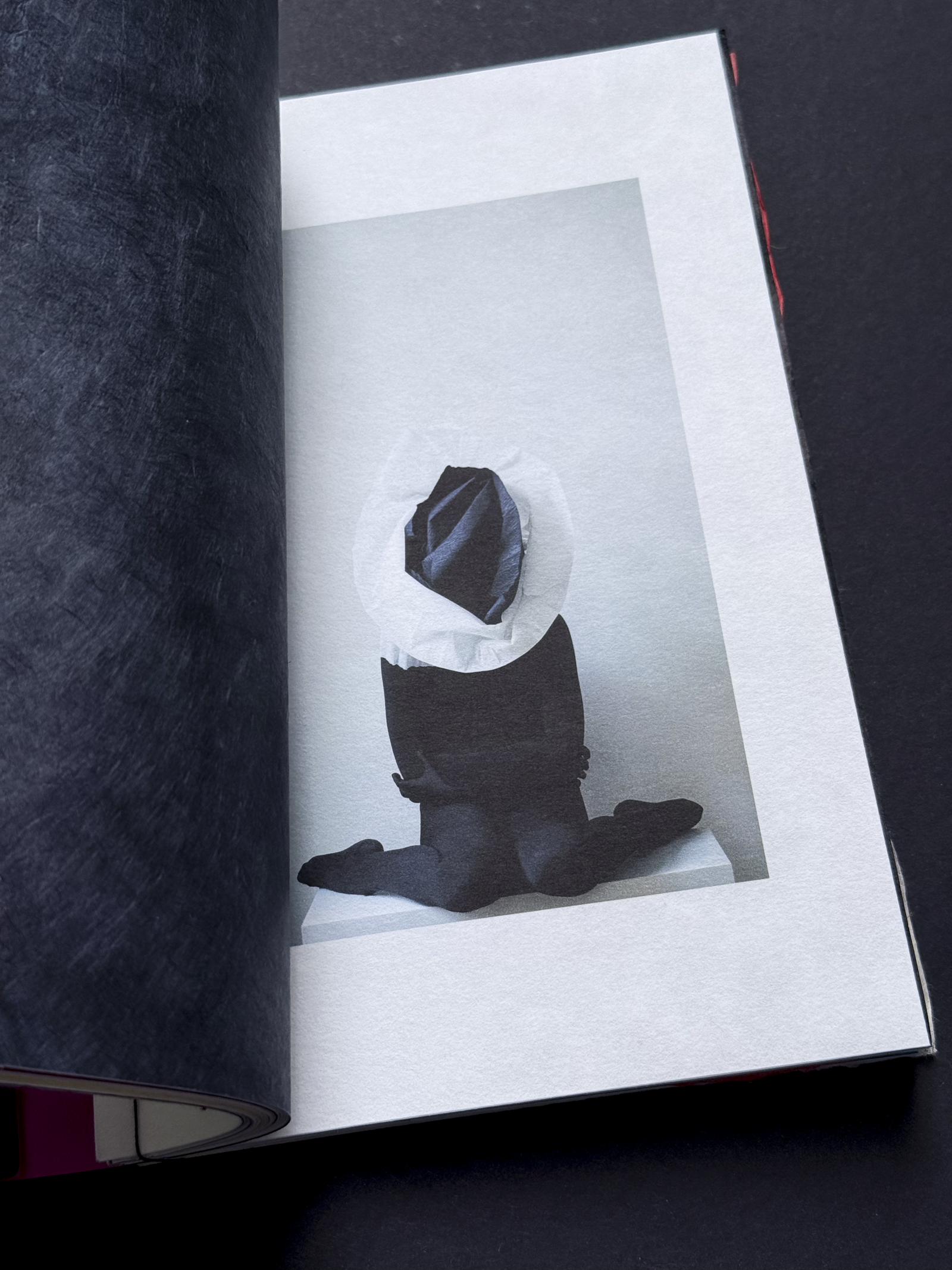 IMG_1205Paper Shelter Art Book 09.PNG