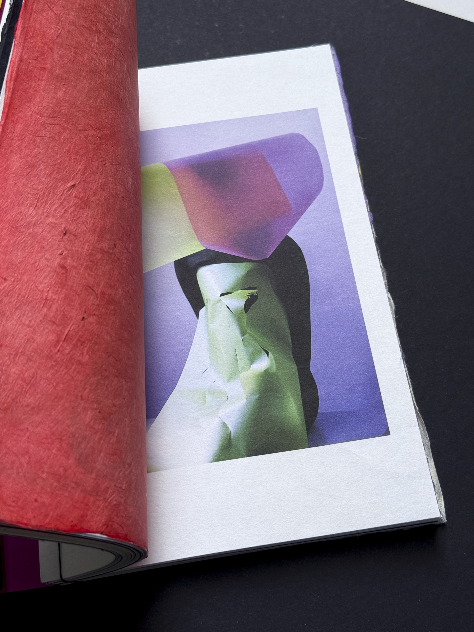 IMG_1202Paper Shelter Art Book 07.PNG