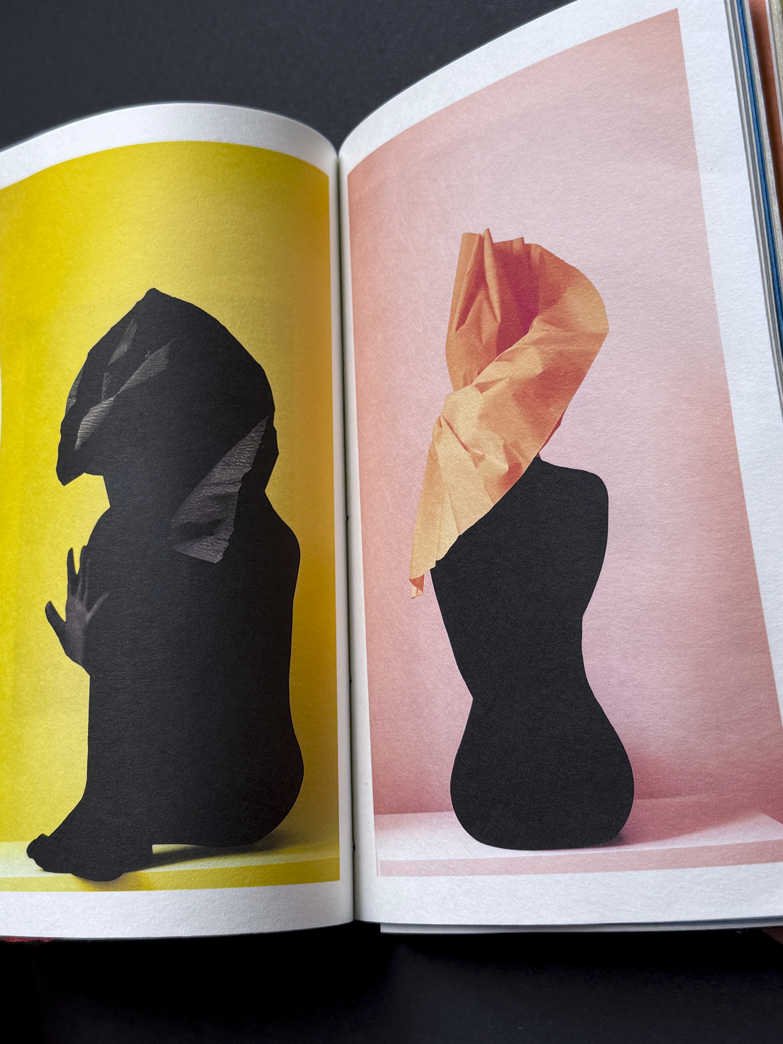 IMG_1214Paper Shelter Art Book 13.PNG