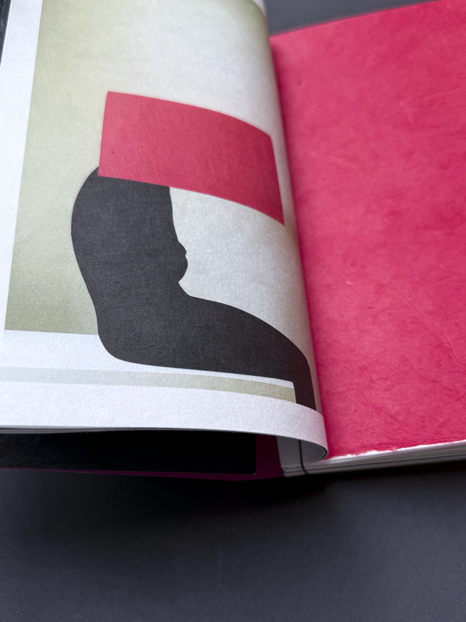 IMG_1235Paper Shelter Art Book 20.PNG