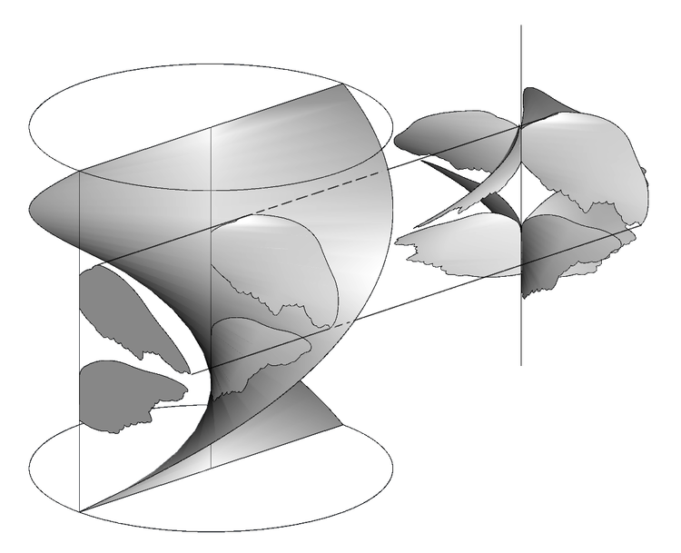wing_geo.png