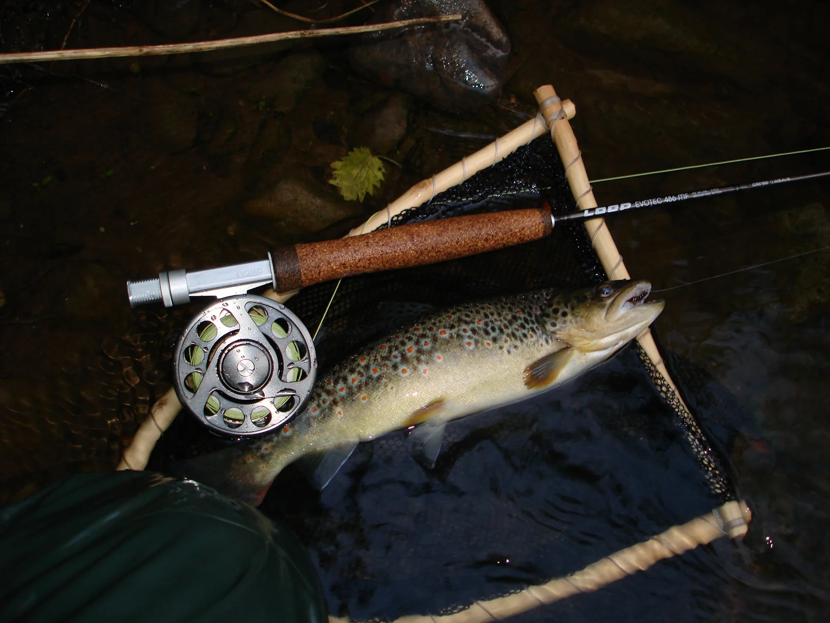 2011 juni Kyll 031.jpg