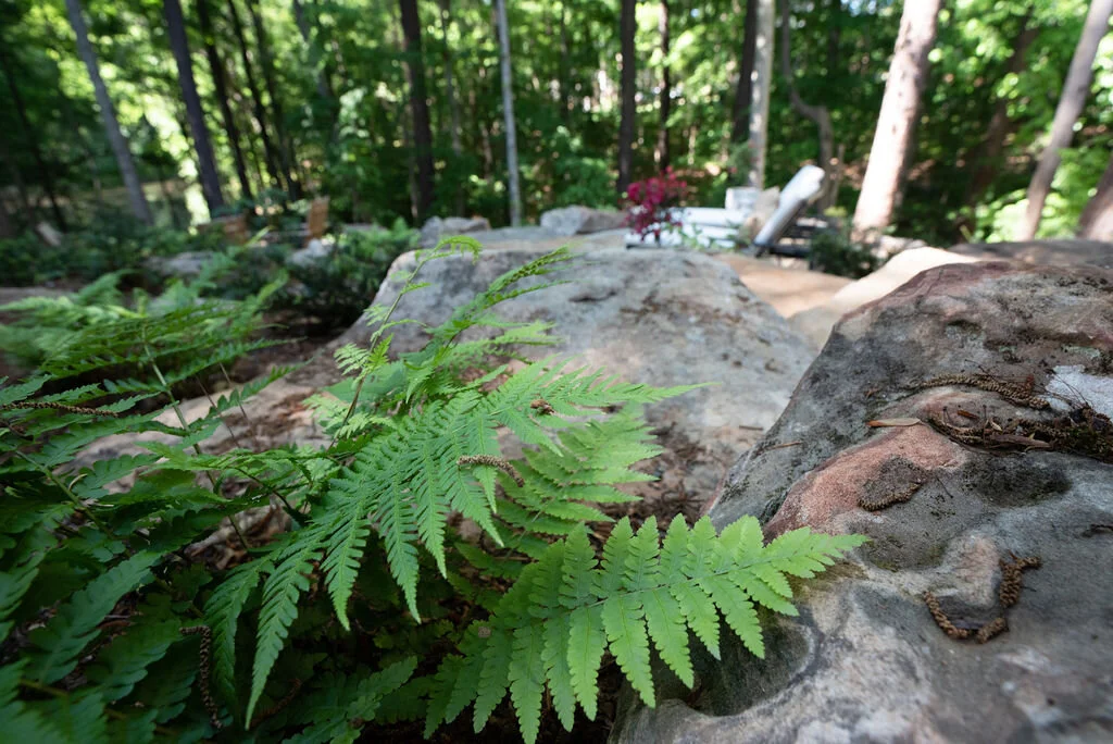 DSC_2551.jpg