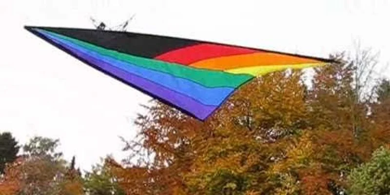 Kite Wings.jpg