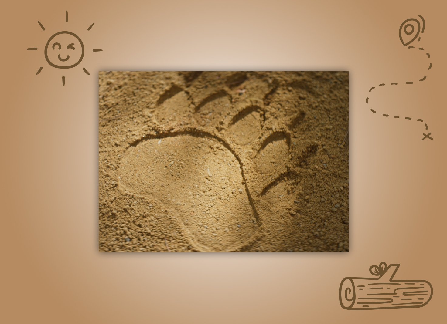 Artboard 1 copy 12.jpg