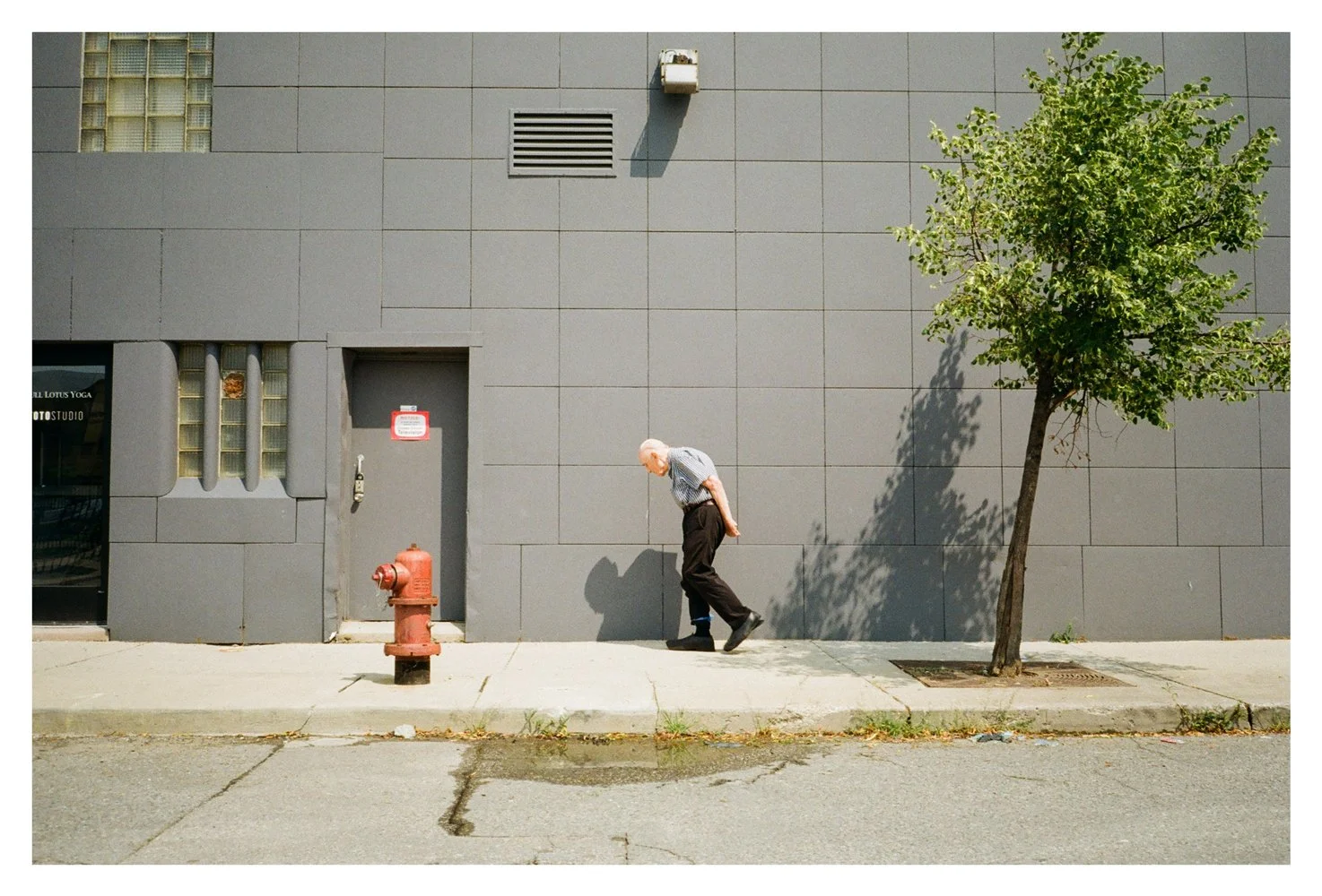 Trevor-Naud-Kodak-Color-Plus-200-Man-and-Tree.jpg
