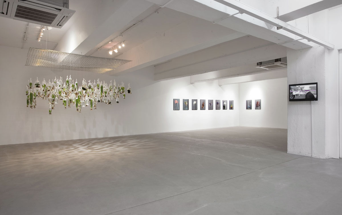  Installation view 