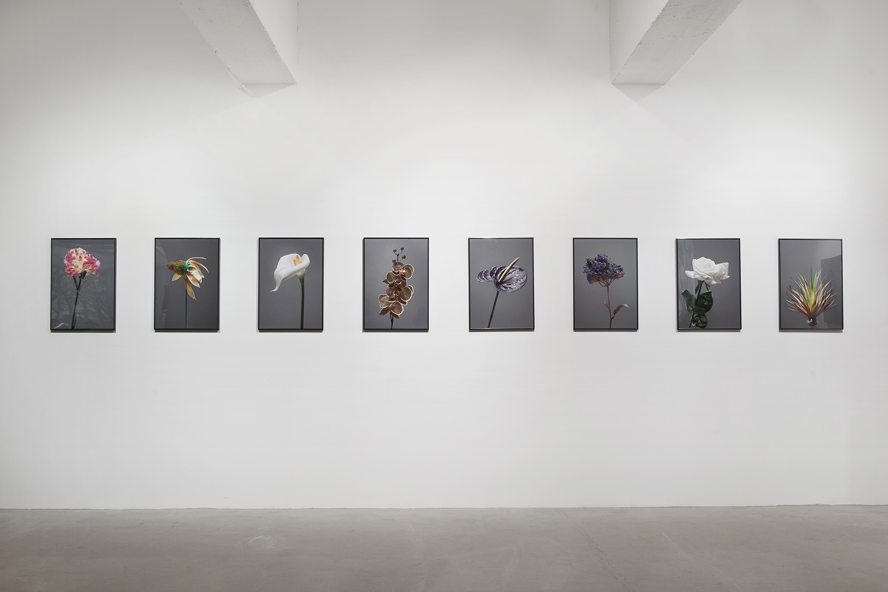 Future Archive for Future-past no.1-10