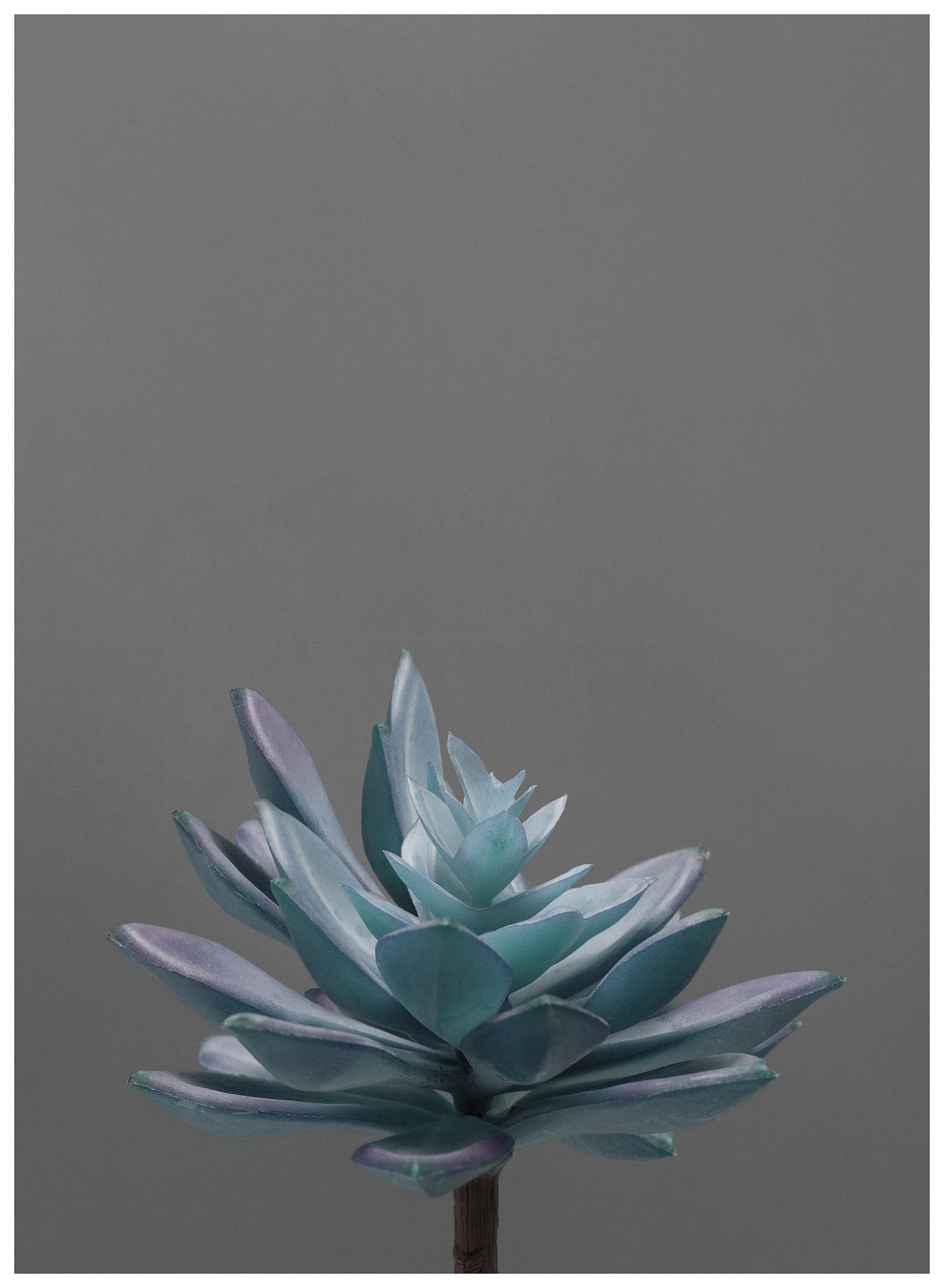 Future Archive for Future-past no.9 , 42x57cm (framed), archival digital C-print, edition 1 of 5, 2014