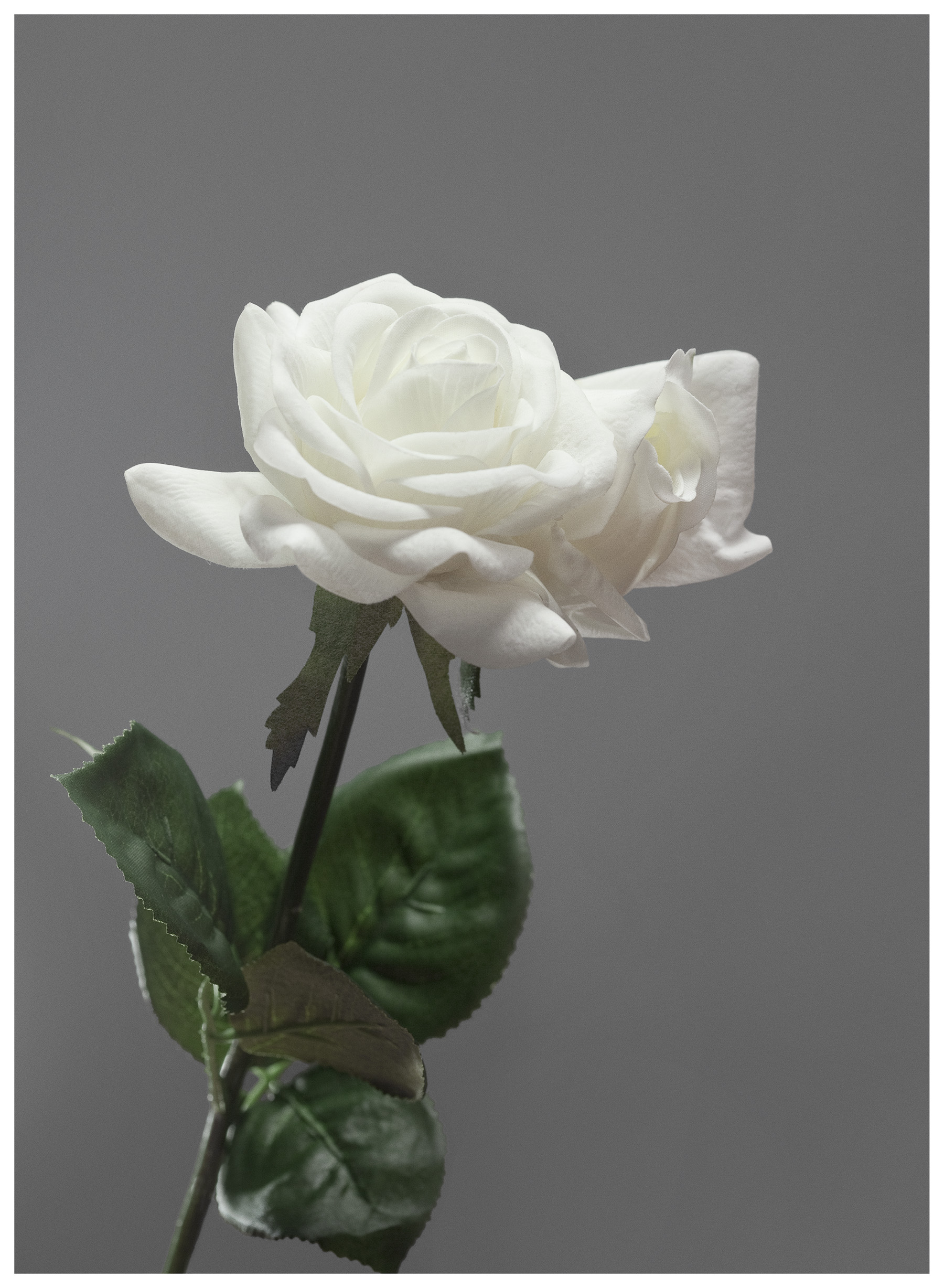 Future Archive for Future-past no.7 , 42x57cm (framed), archival digital C-print, edition 1 of 5, 2014