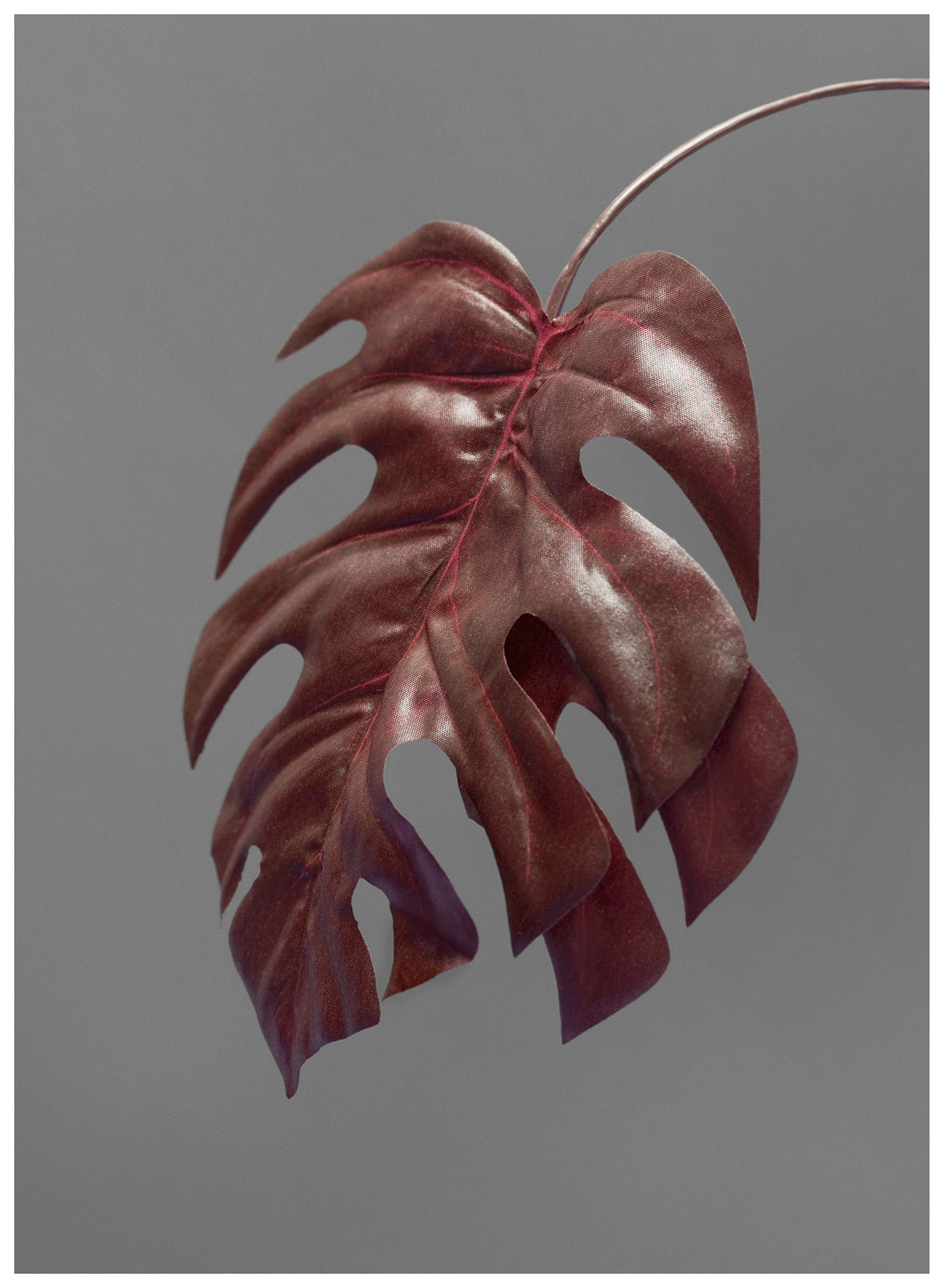 Future Archive for Future-past no.10 , 42x57cm (framed), archival digital C-print, edition 1 of 5, 2014