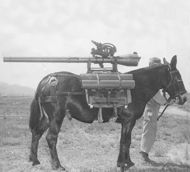 army-horses-mules_pack_01_700.jpg