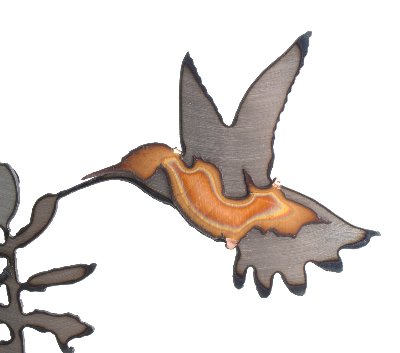 AZOHK_hummingbird_det_2.png