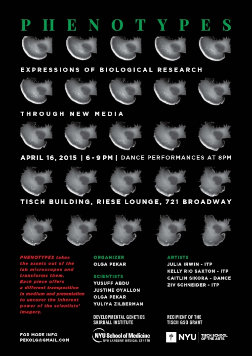 Poster design by Ziv Schneider