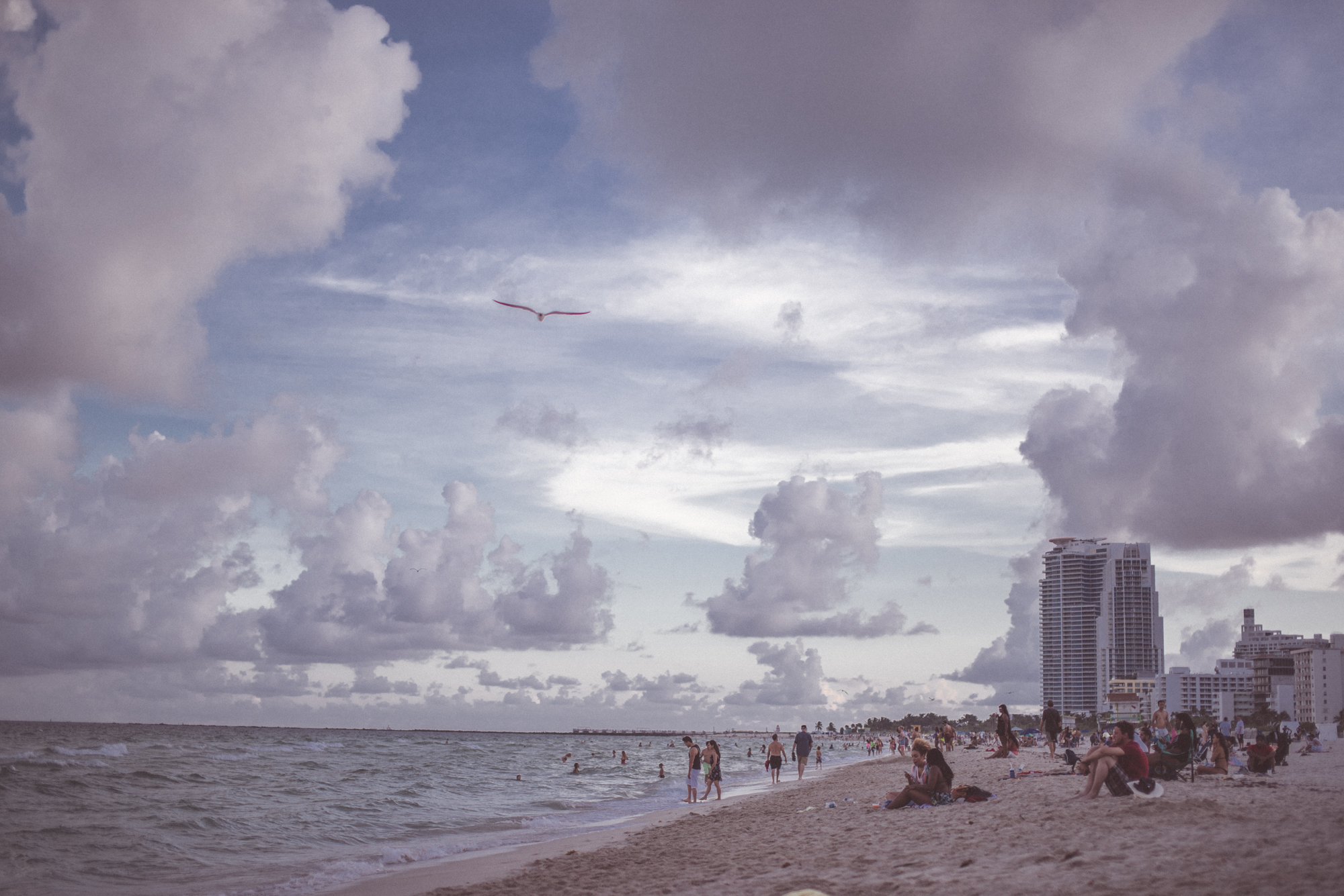 Miami-DR-19.jpg