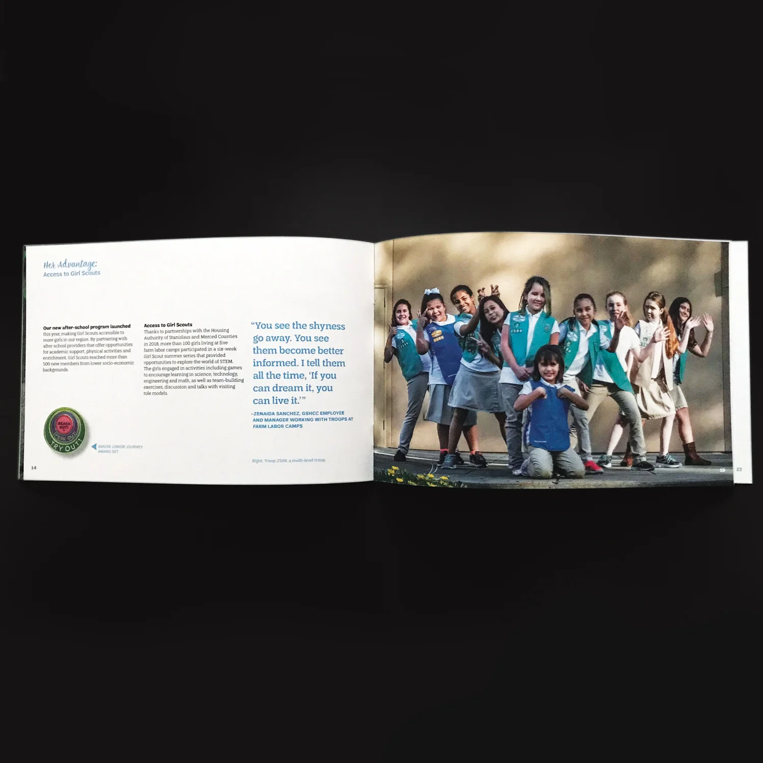 GS.AnnualReport.2018.greysq.jpg