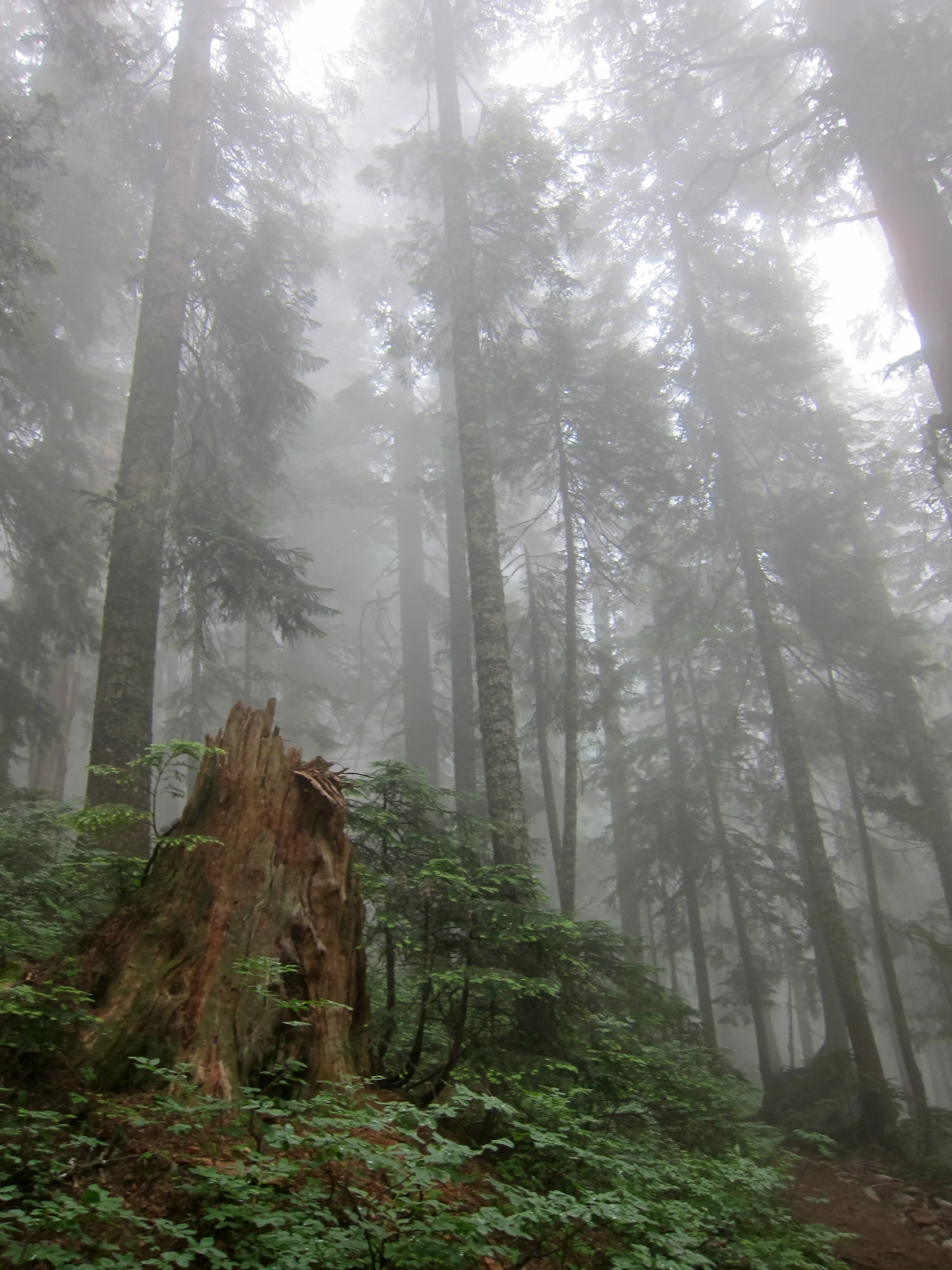image by Sean Munson via Creative Commons