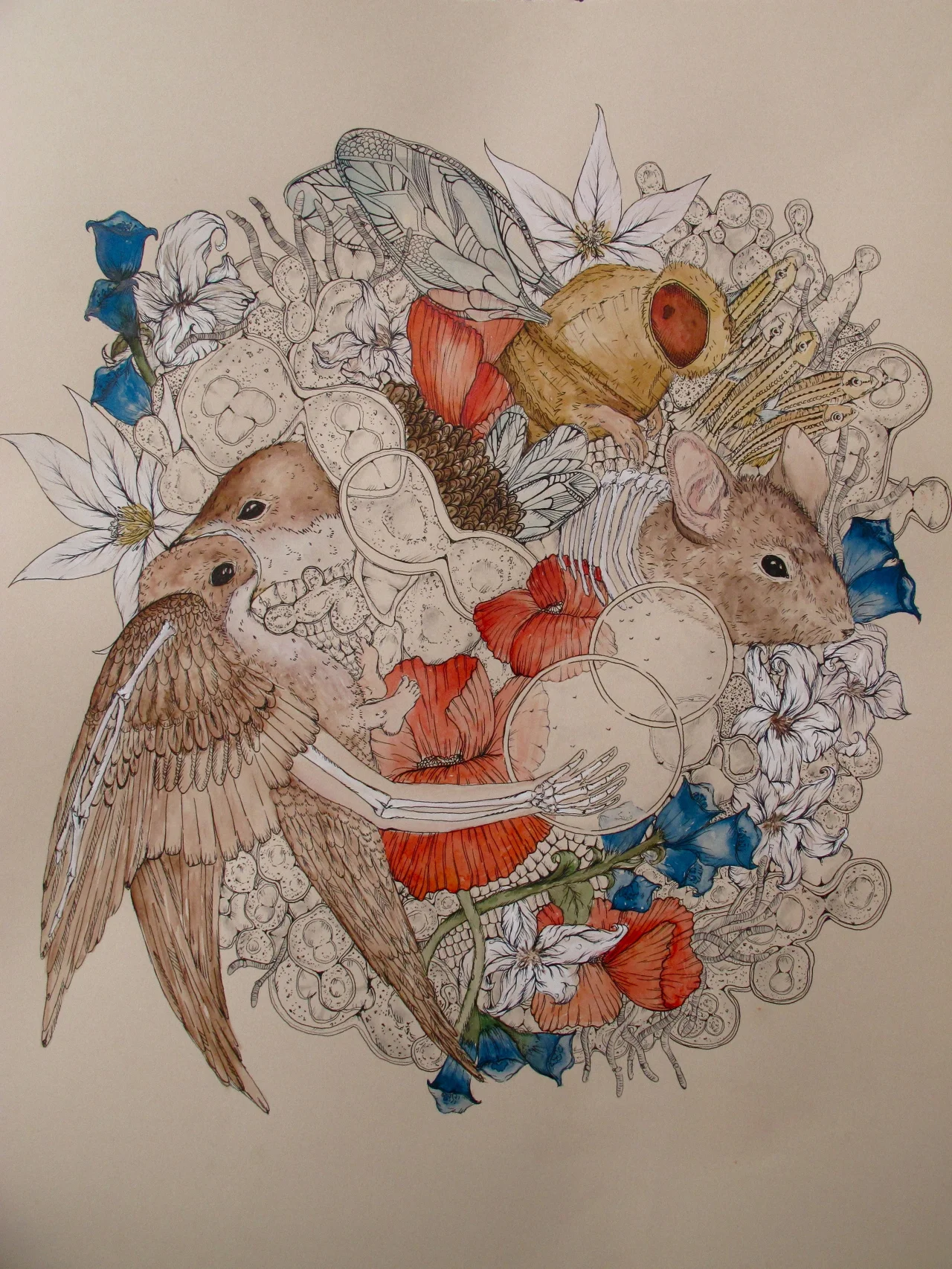 Progression 16" x 20" watercolor, pen and ink on paper, 2012