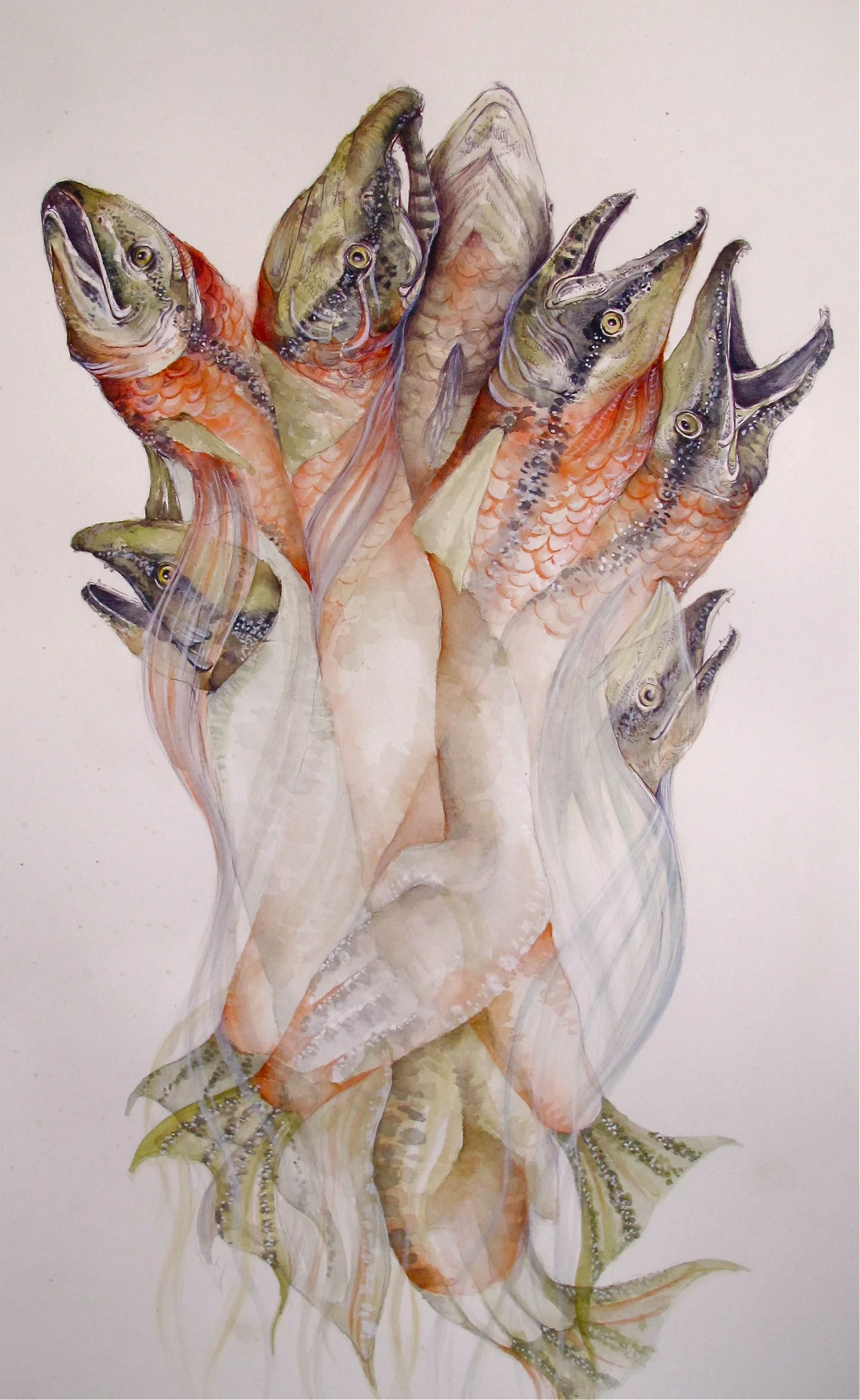 Upstream 20" x 26" acrylic, watercolor, pen and graphite on paper, 2014