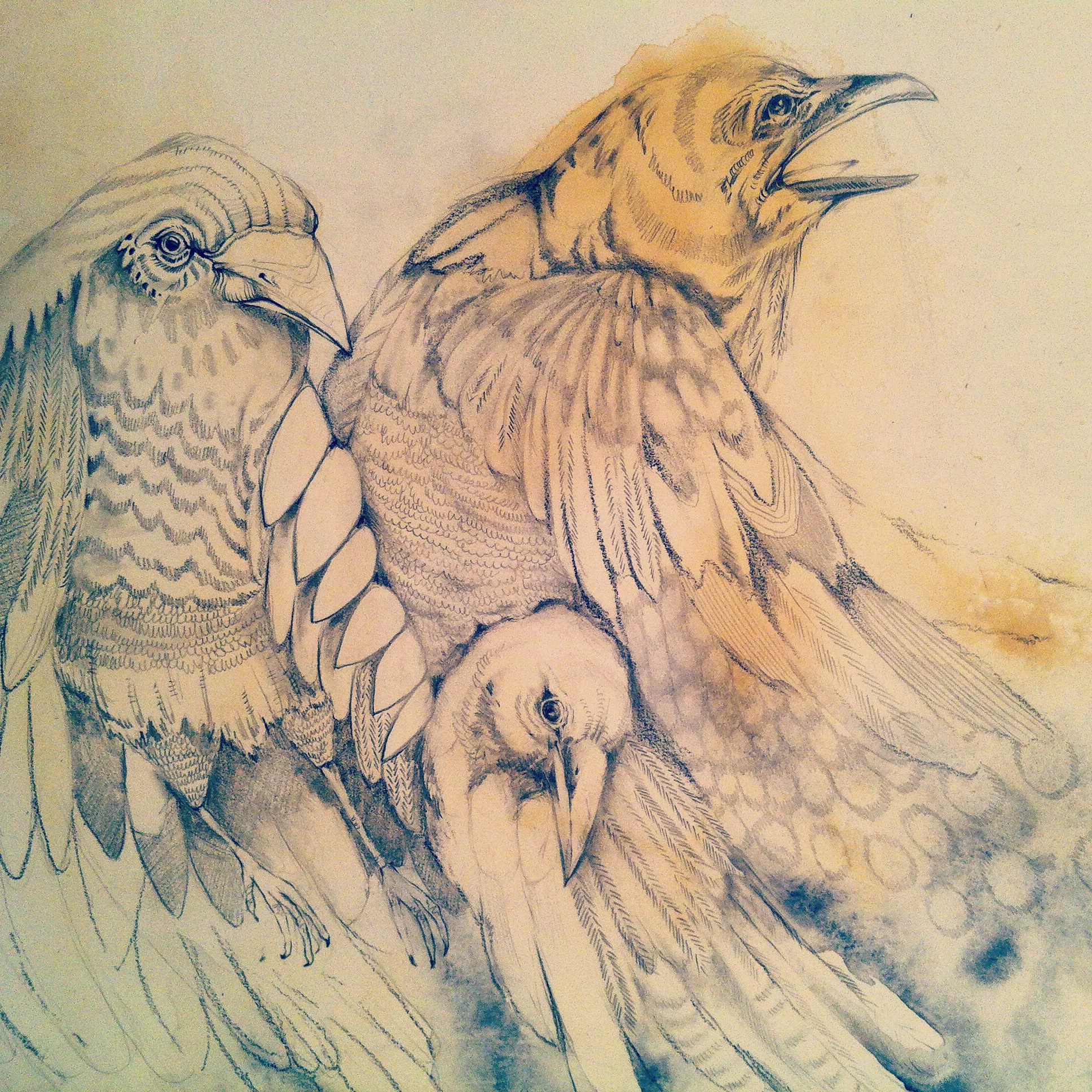 detail from Devour Me 30" x 36" acrylic, watercolor, graphite on paper mounted on wood, 2014