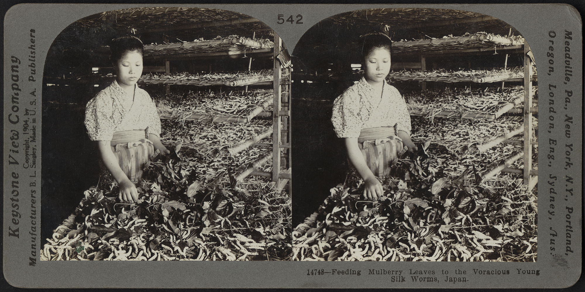 image by Boston Public Library via Creative Commons .