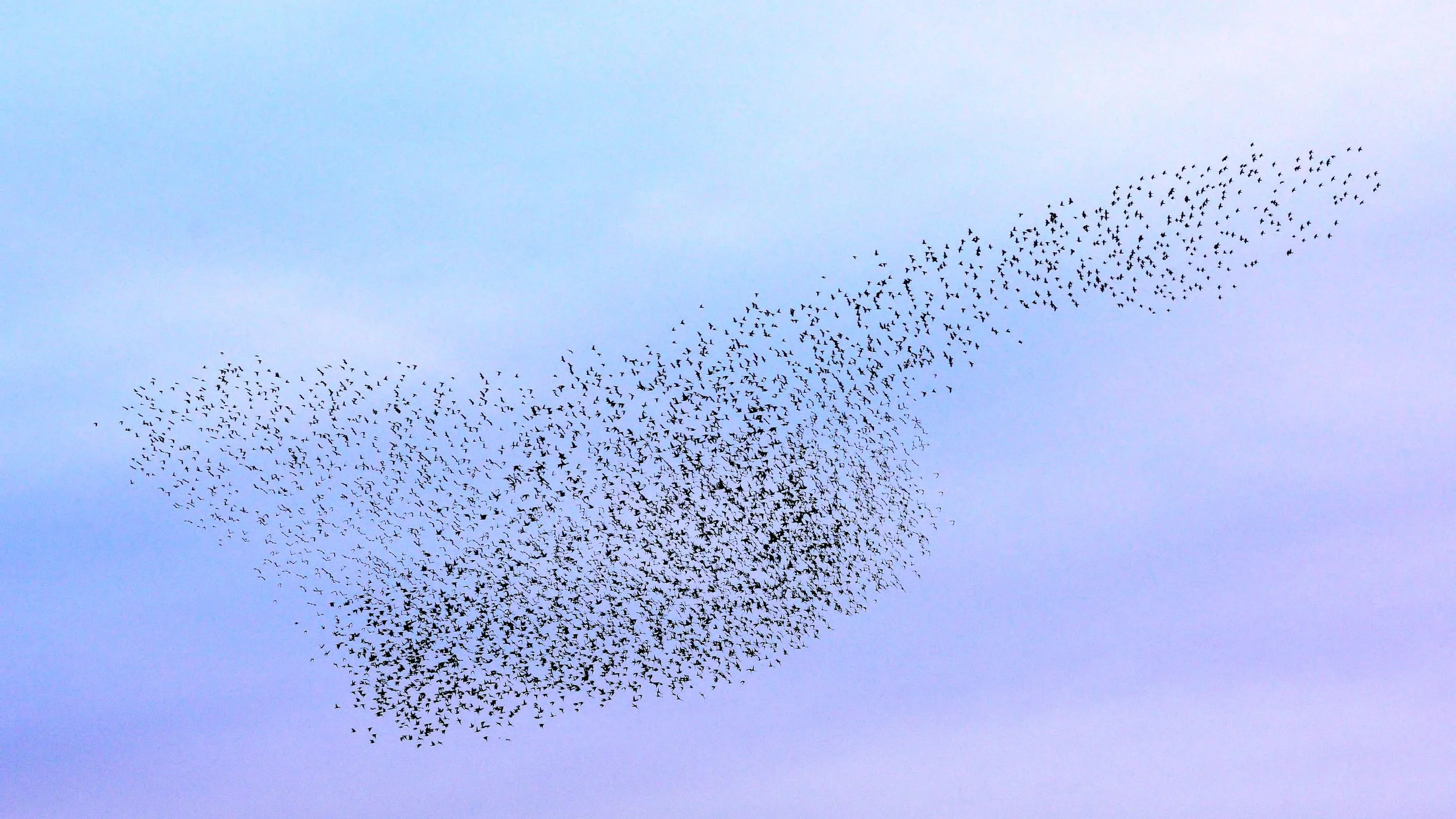 image by Tom Lee ©Creative Commons