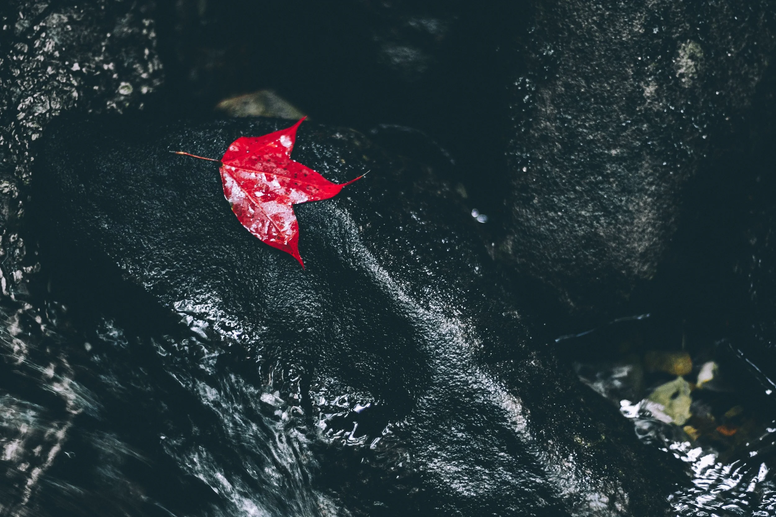 frame-harirak-721935-unsplash.jpg