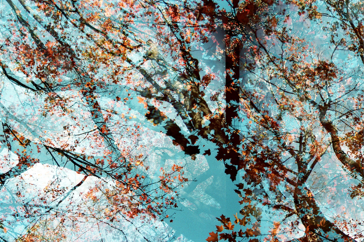Transitory Space, Prospect Park # 36 , Brooklyn, October 2017, 11 x 14, Color Photography