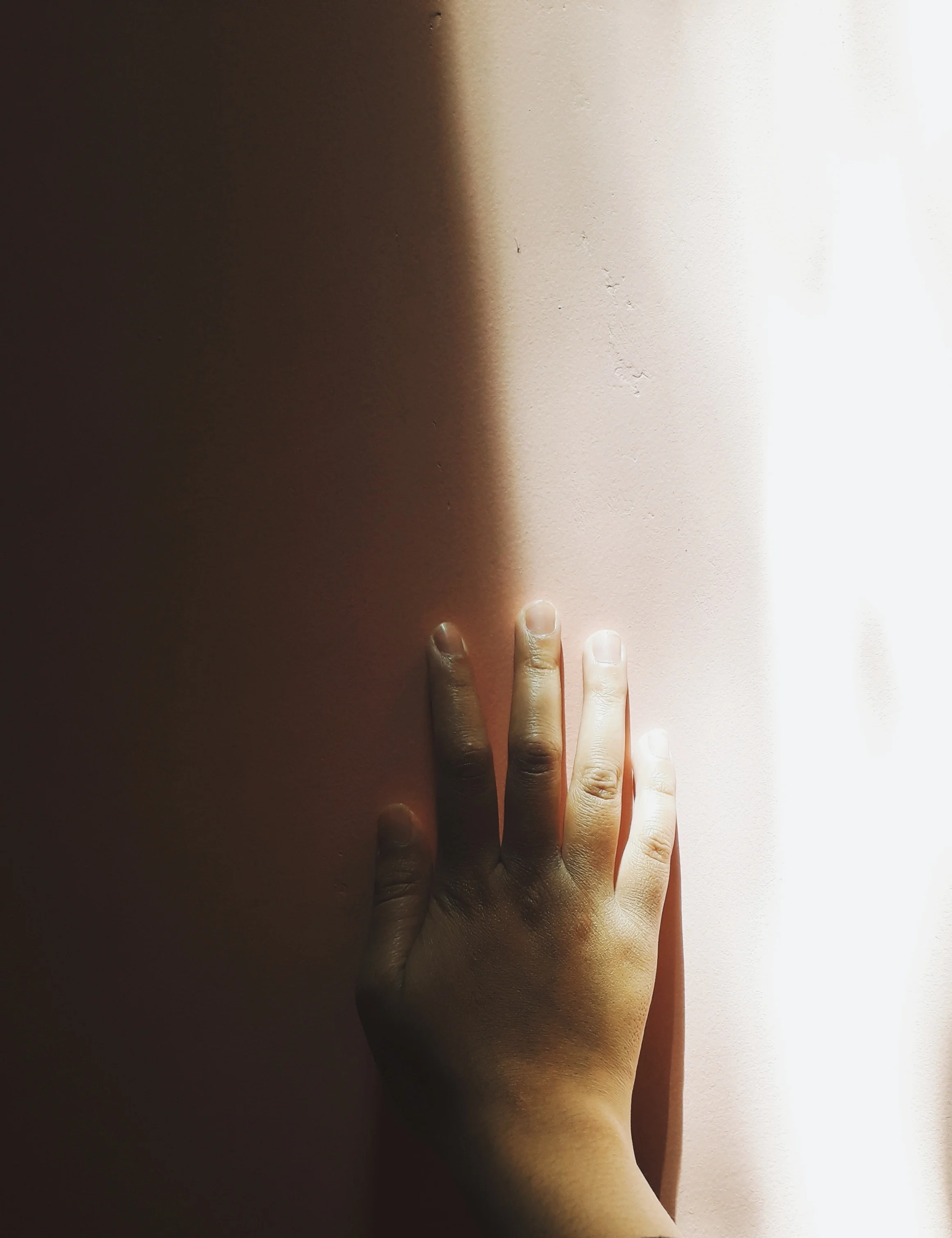kiky-amelia-1166217-unsplash.jpg
