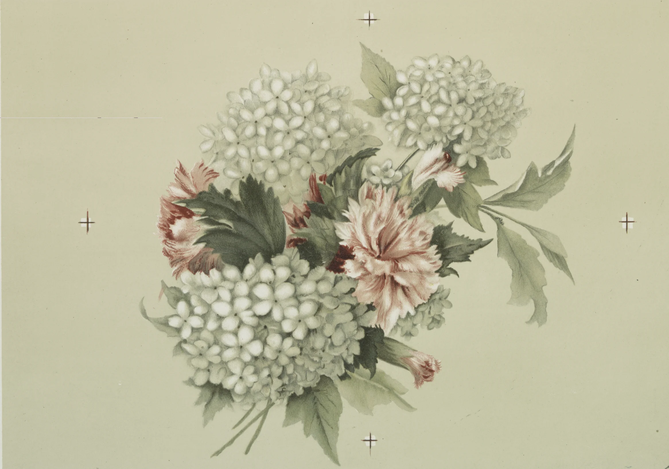 flower postcard.jpg