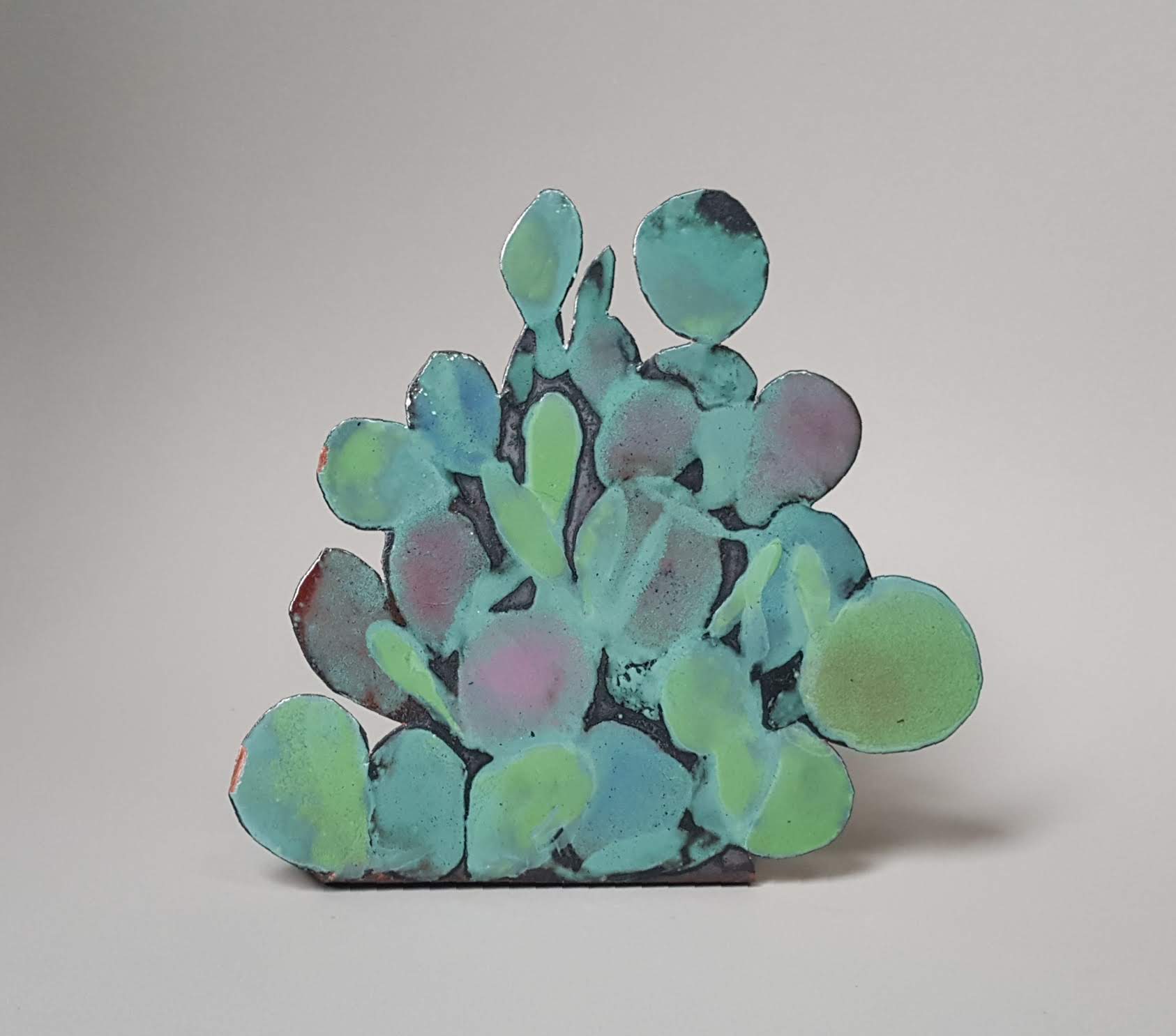 Paddle Cactus