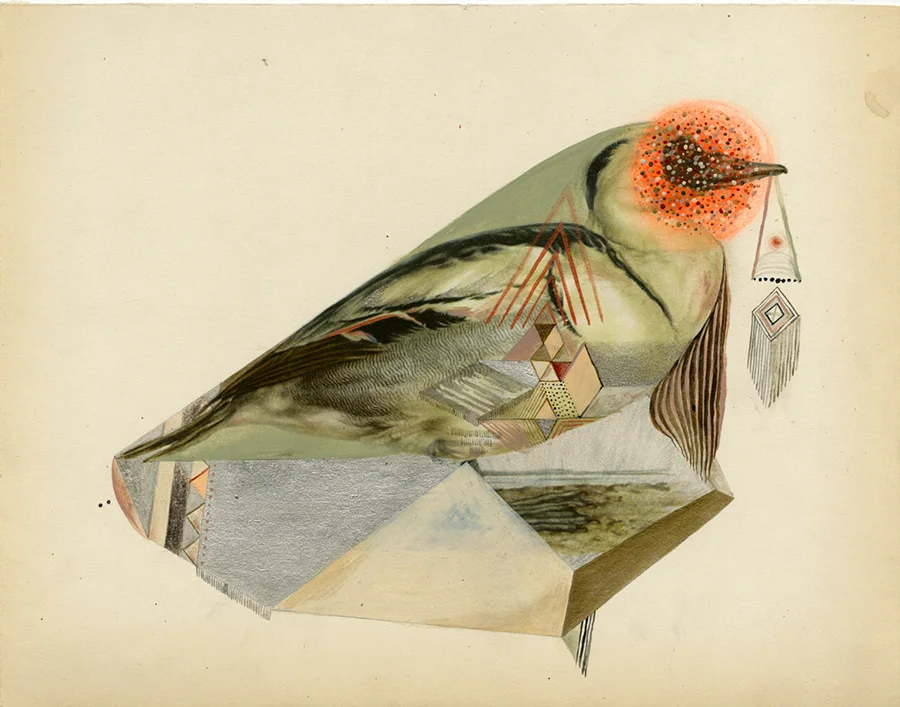 The-Merganser.jpg