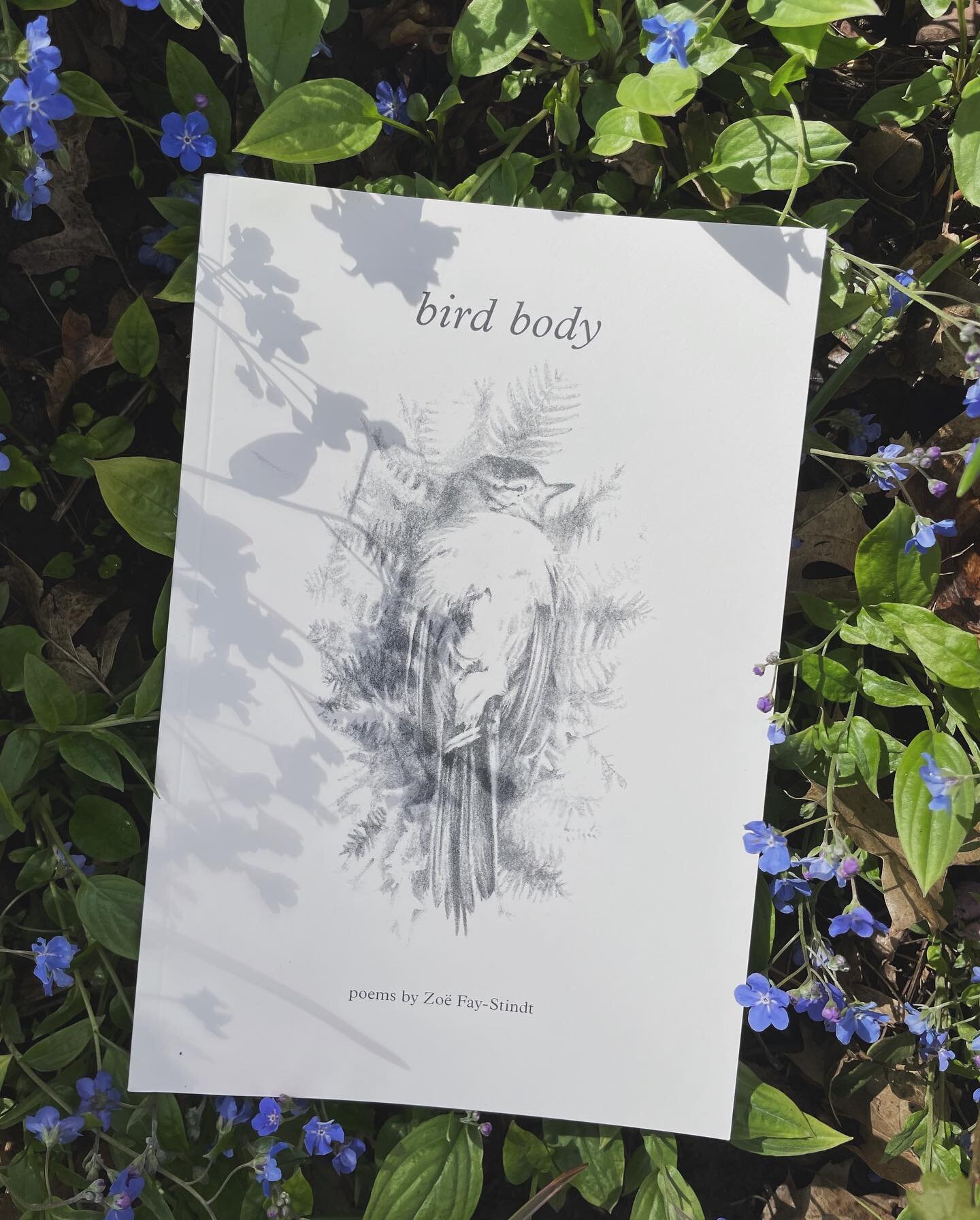 Bird Body by @zoefaystindt is back in stock with her second printing! 🦢 She sold out with her first run&mdash;now&rsquo;s your chance to snag a copy of this gorgeous chap, before she flies away! 🪶