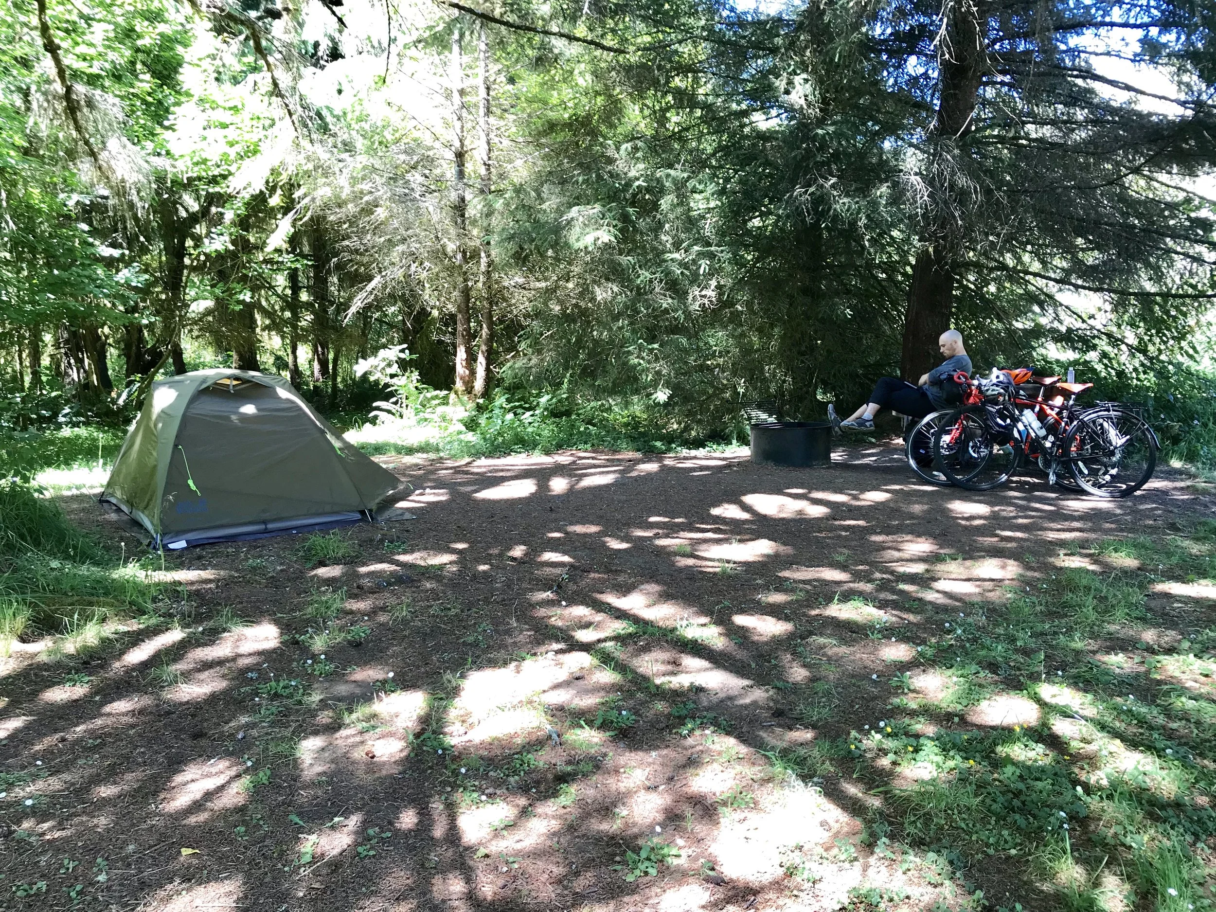 Our campsite in the park at Elk Prairie Campground. There were signs everywhere warning of the wild elk, but we only saw a few from a distance.